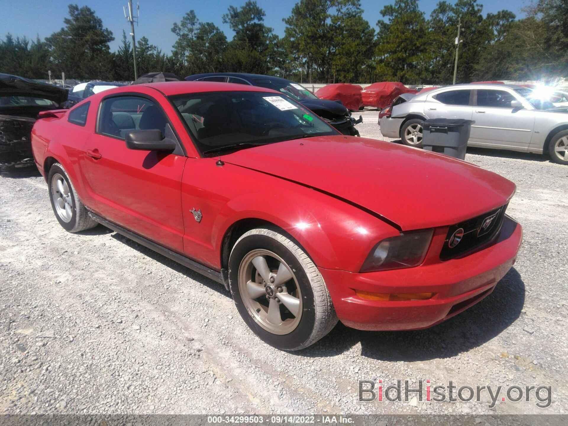 Photo 1ZVHT80N895128178 - FORD MUSTANG 2009