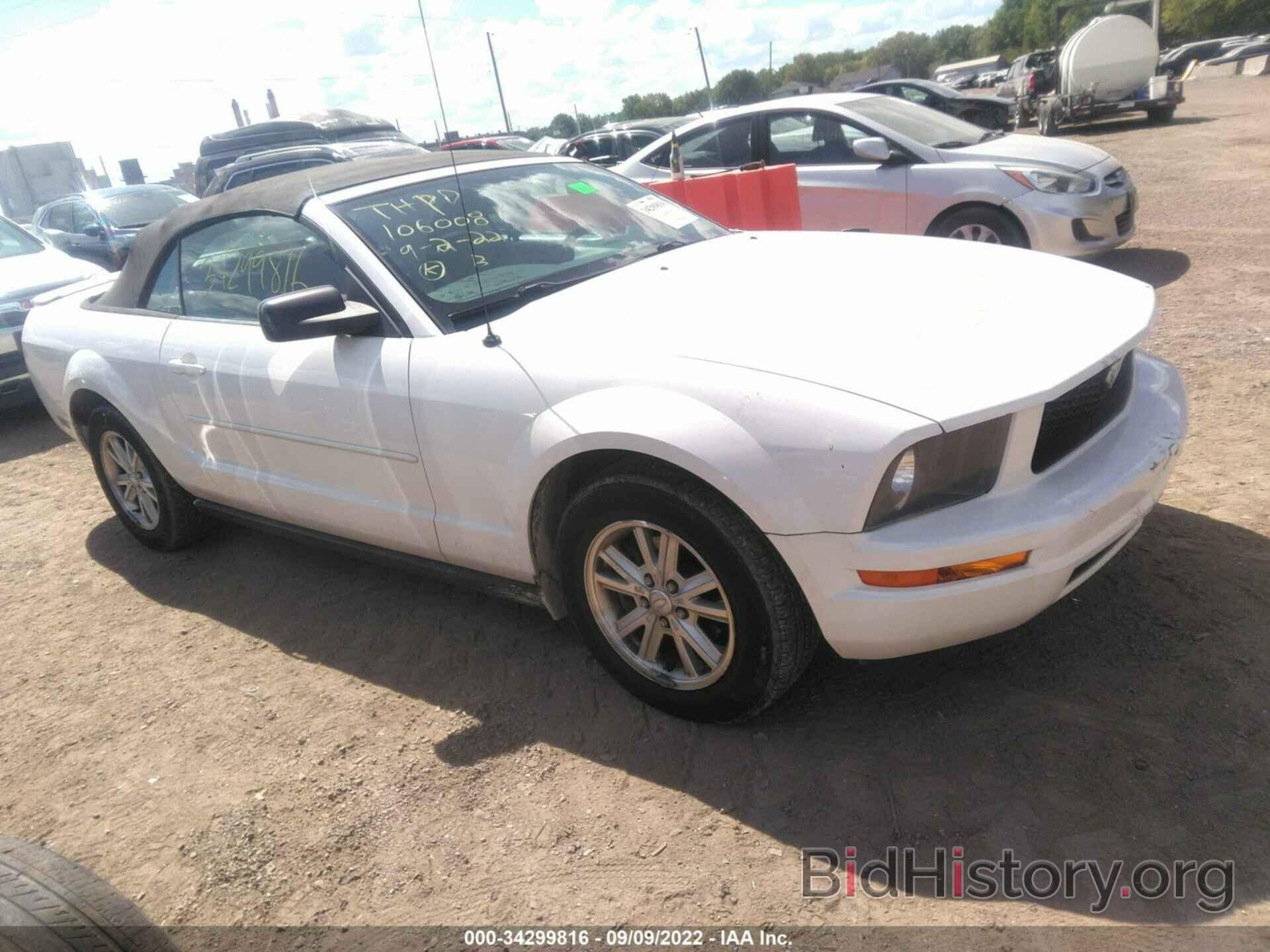 Photo 1ZVFT84N575276724 - FORD MUSTANG 2007