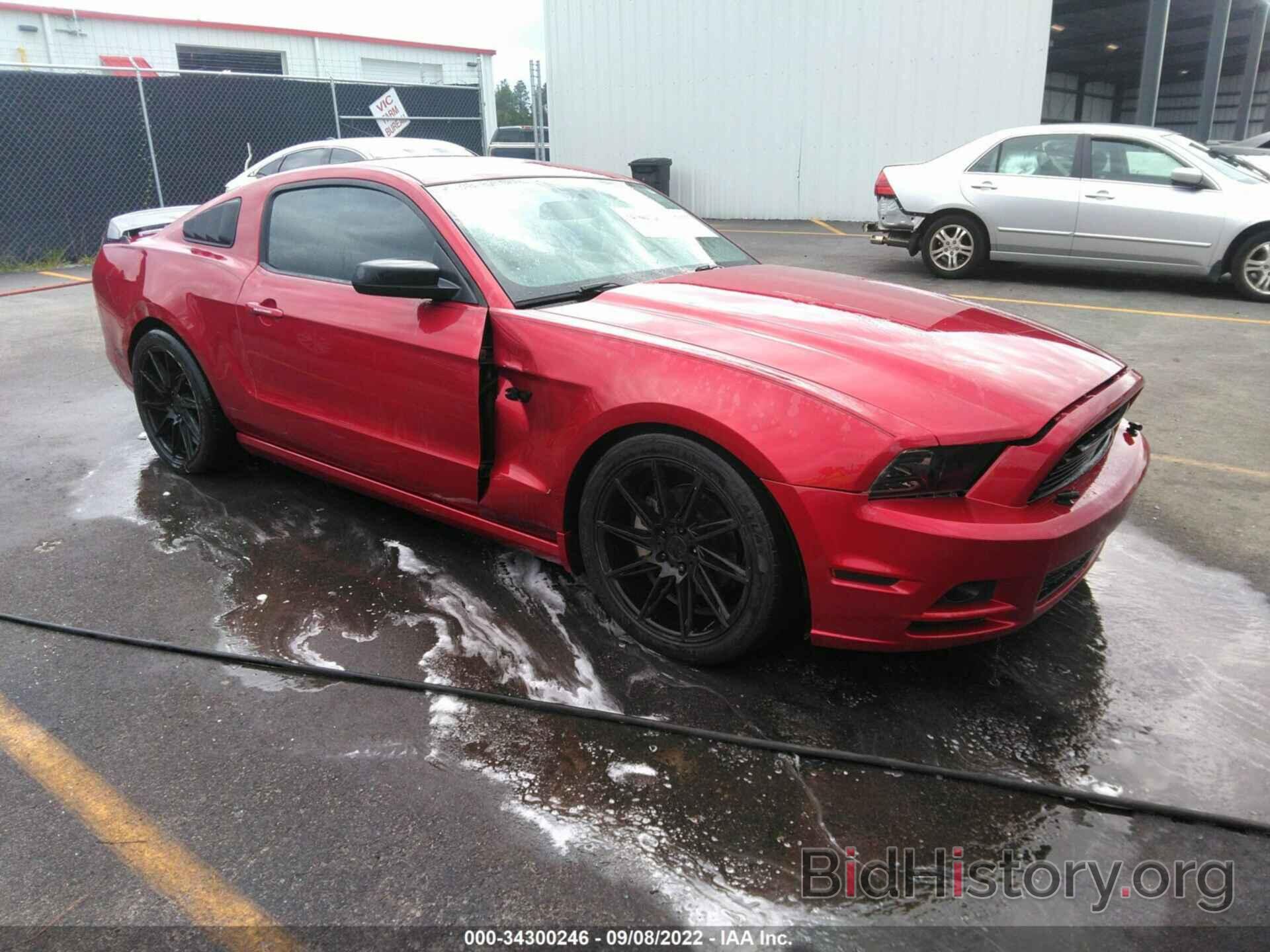 Photo 1ZVBP8AM7D5238177 - FORD MUSTANG 2013