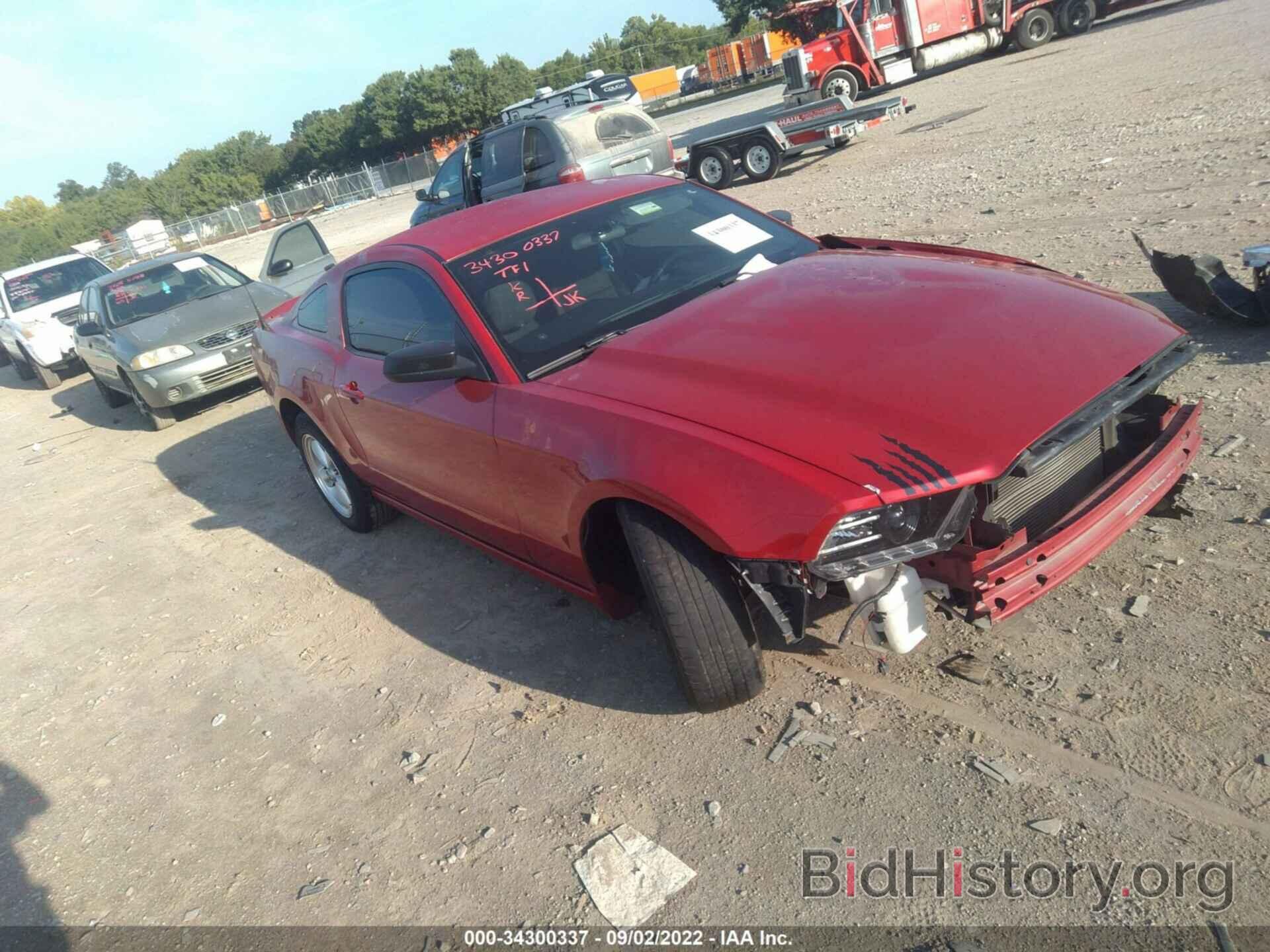 Photo 1ZVBP8AM8D5265775 - FORD MUSTANG 2013
