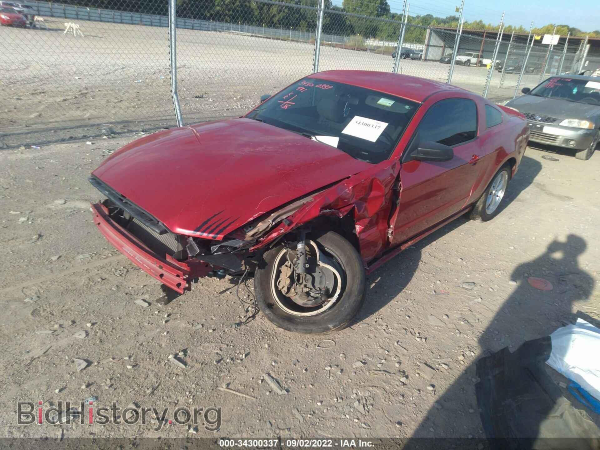 2013 FORD MUSTANG - VIN: 1ZVBP8AM8D5265775 - Фото 2