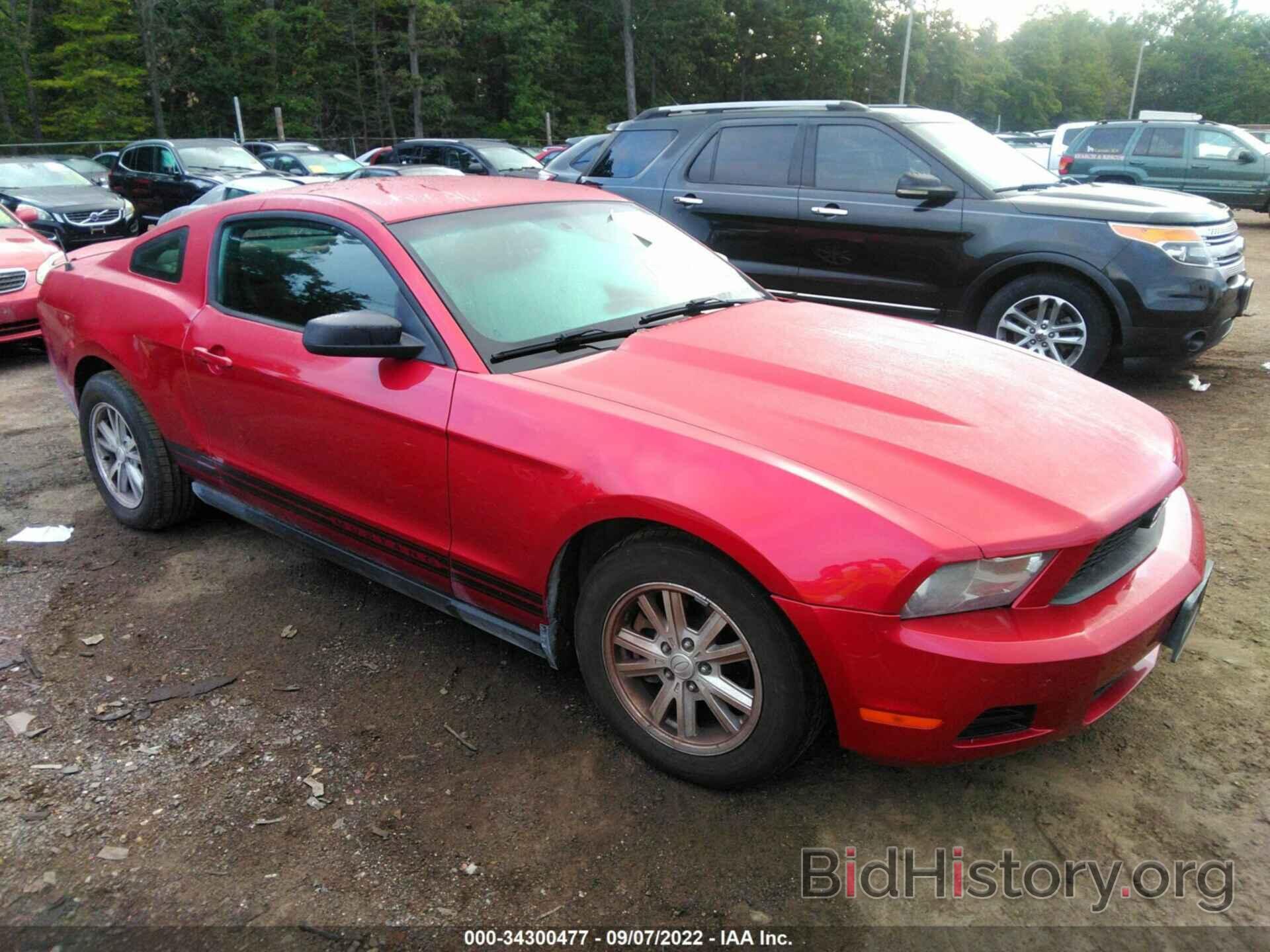 Photo 1ZVBP8AN1A5119089 - FORD MUSTANG 2010