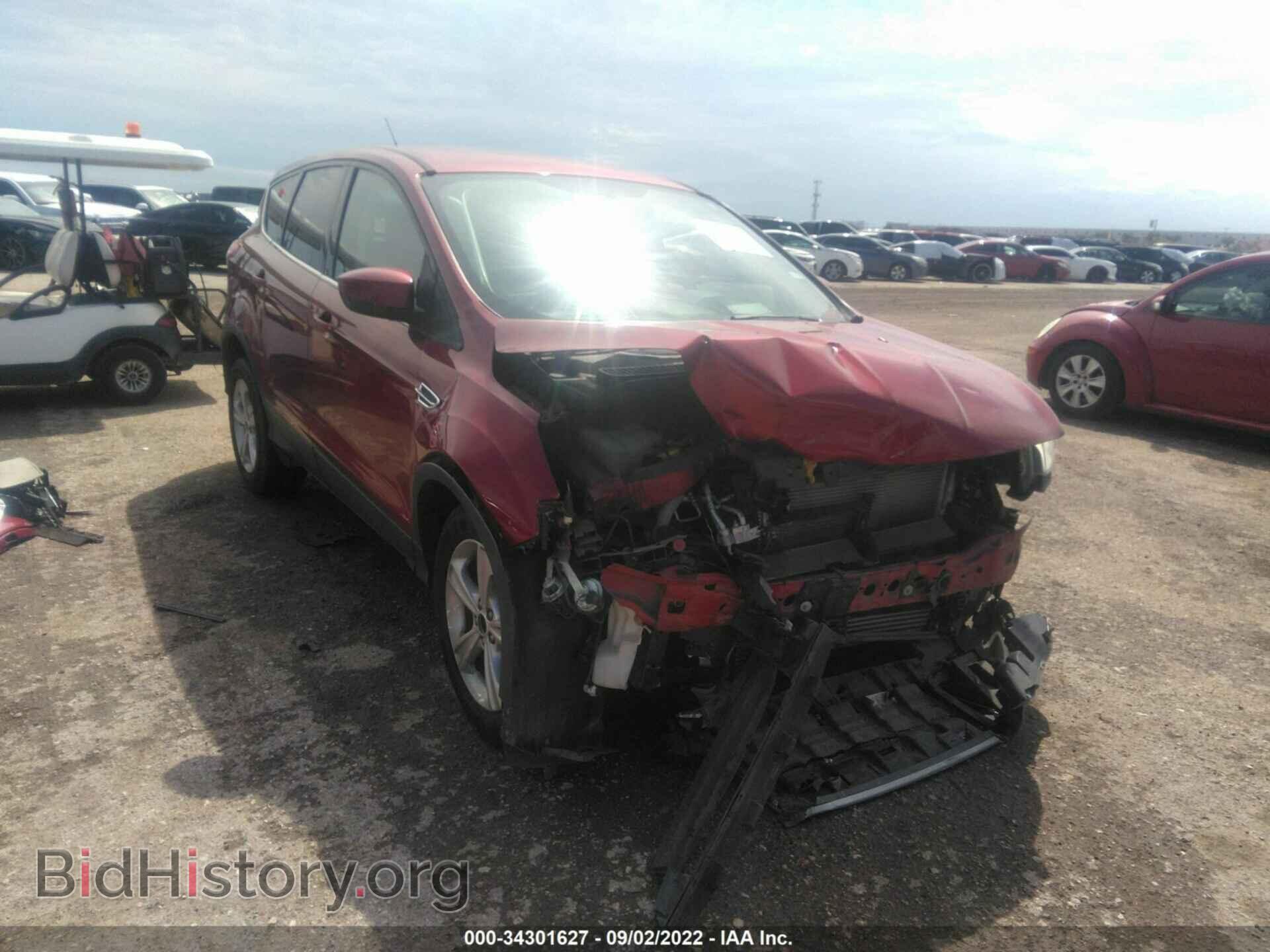 Photo 1FMCU0GX2EUC44362 - FORD ESCAPE 2014