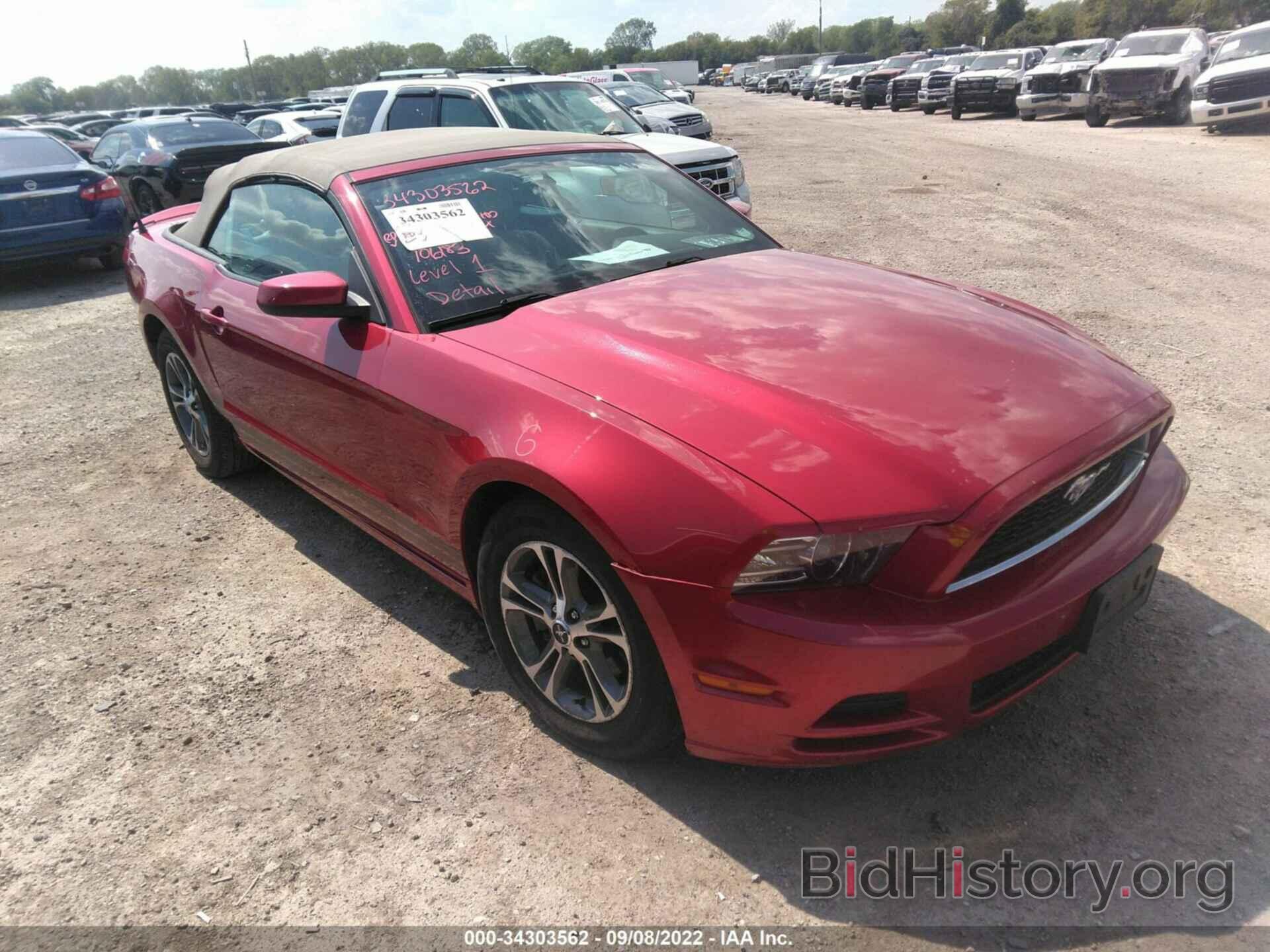 Photo 1ZVBP8EM2D5243815 - FORD MUSTANG 2013