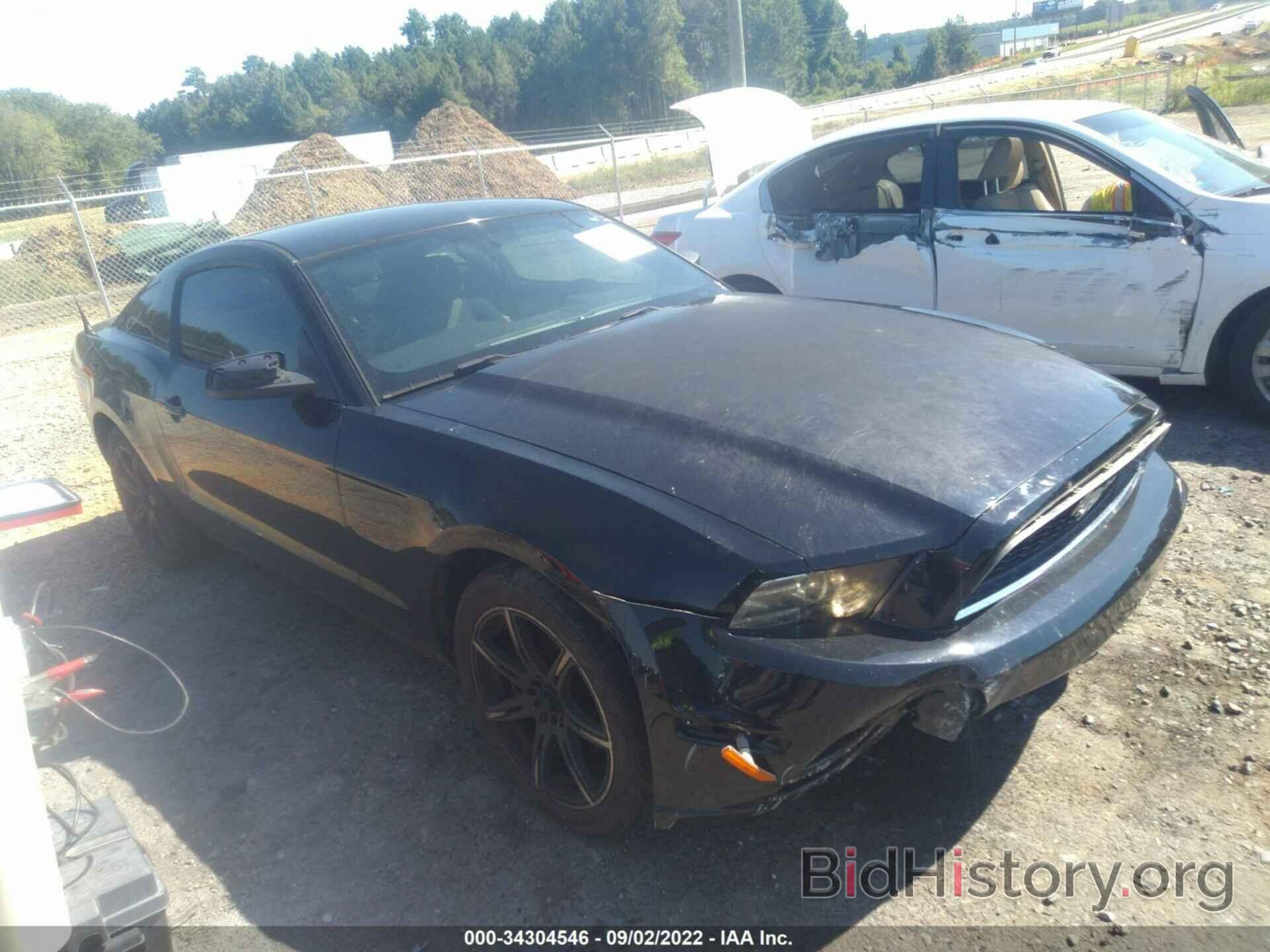 Photo 1ZVBP8AM1E5330046 - FORD MUSTANG 2014