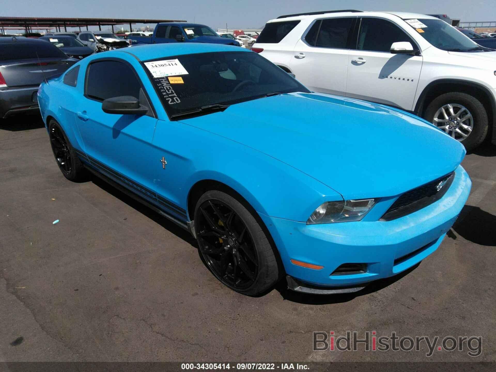 Photo 1ZVBP8AN1A5108772 - FORD MUSTANG 2010