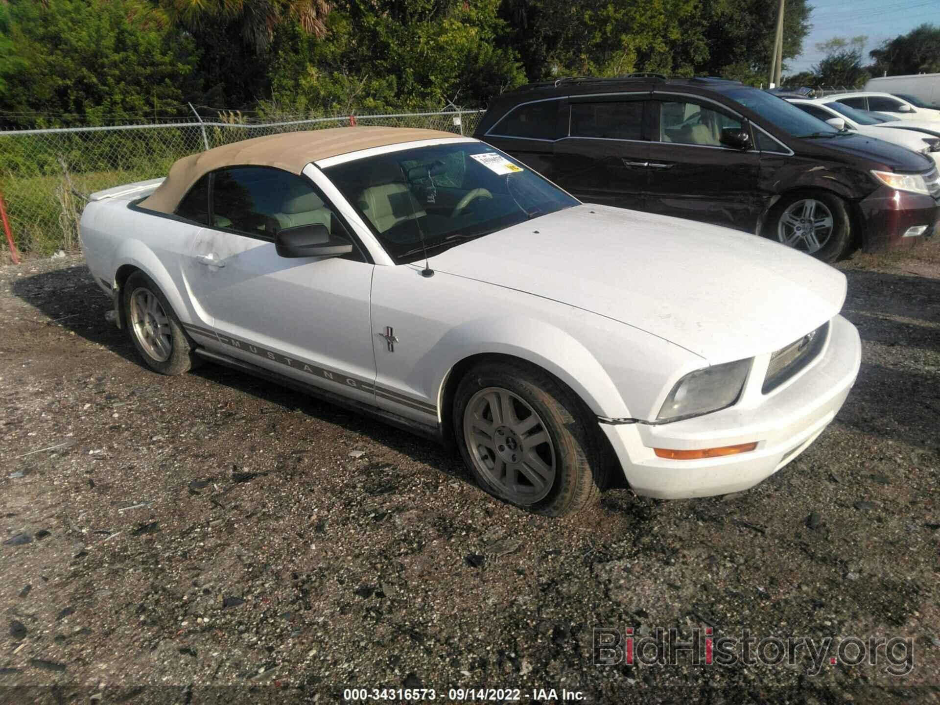 Photo 1ZVHT84N075289213 - FORD MUSTANG 2007