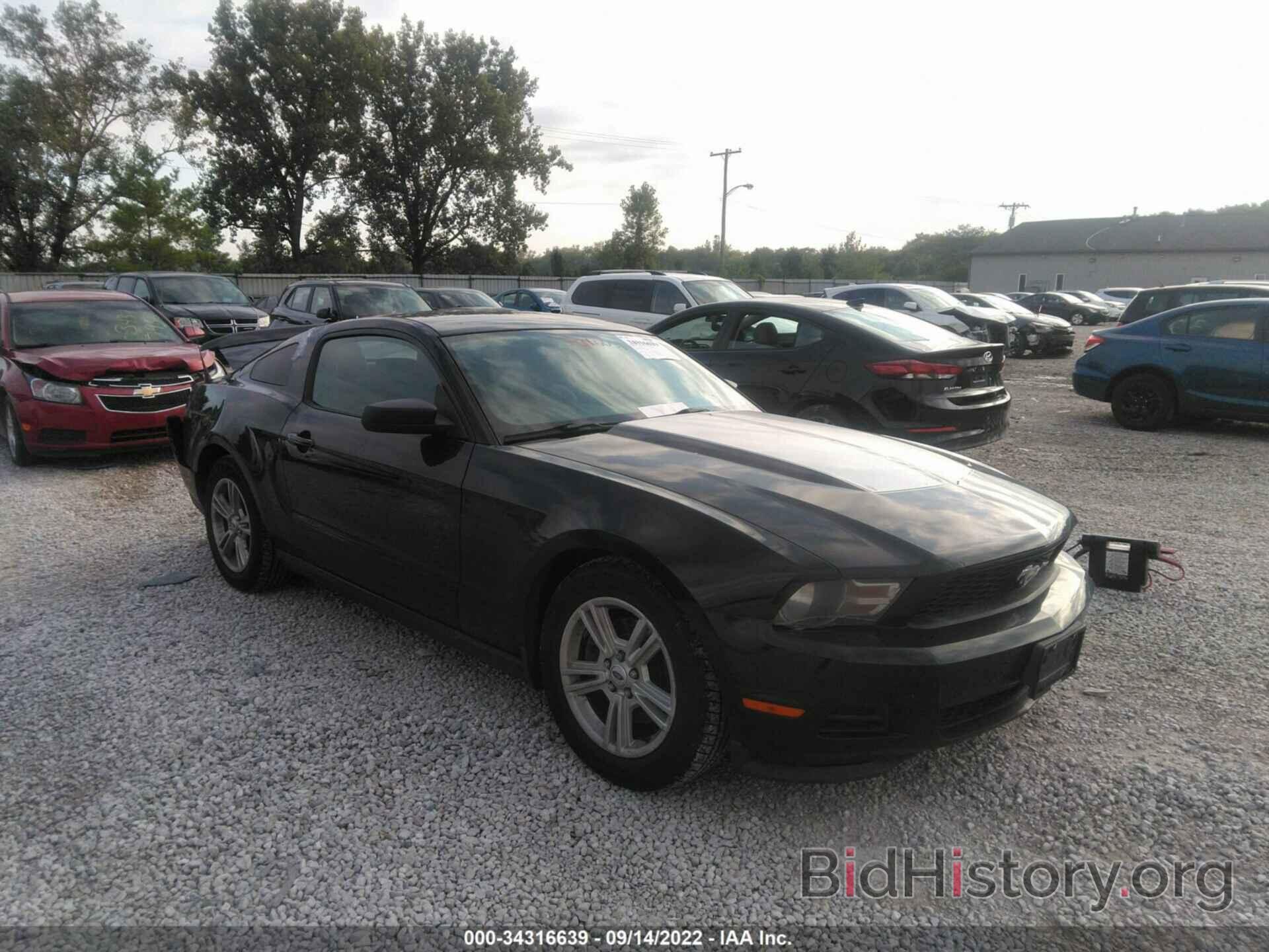 Photo 1ZVBP8AM0C5250928 - FORD MUSTANG 2012