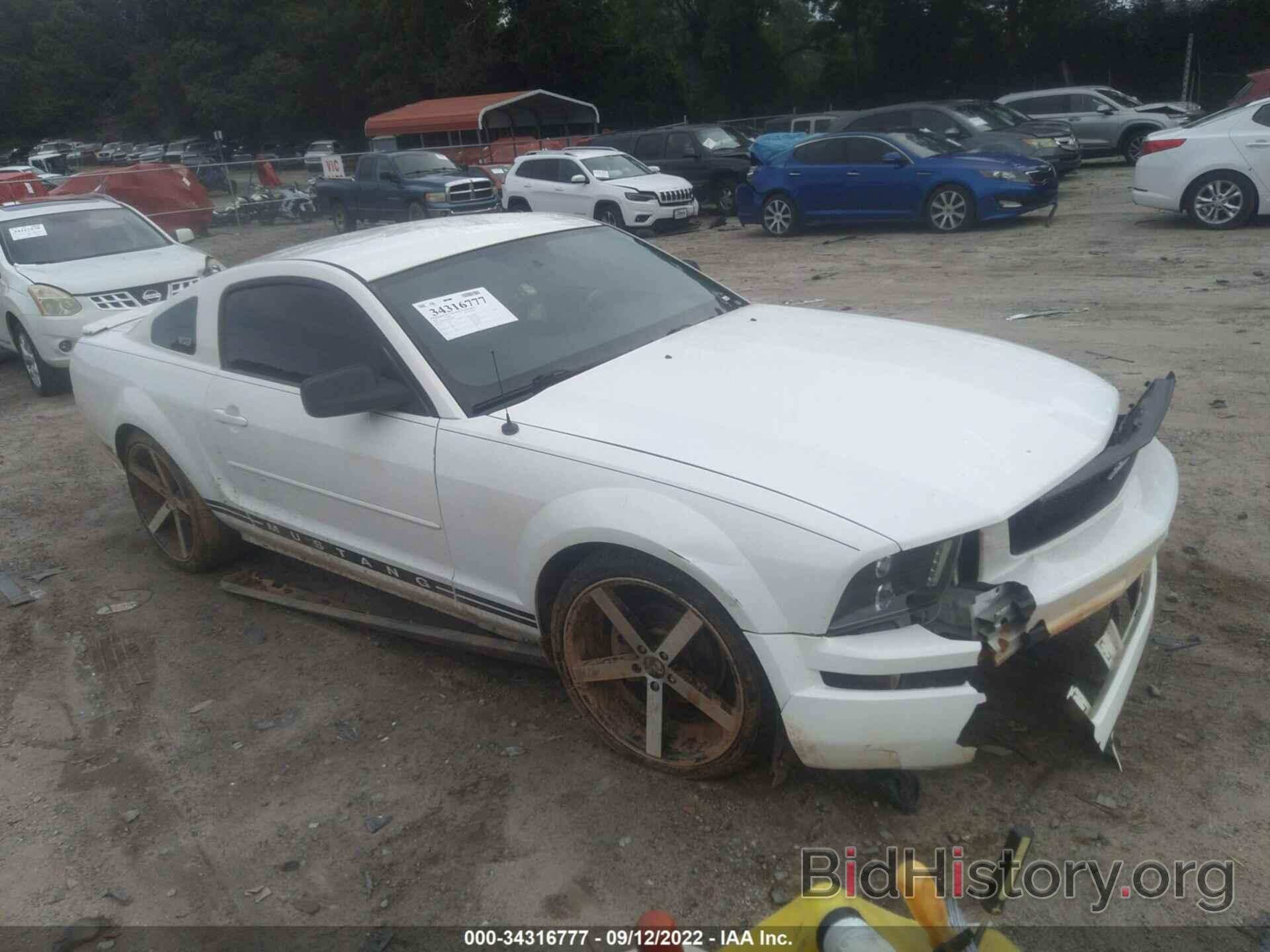 Photo 1ZVHT80N685208464 - FORD MUSTANG 2008