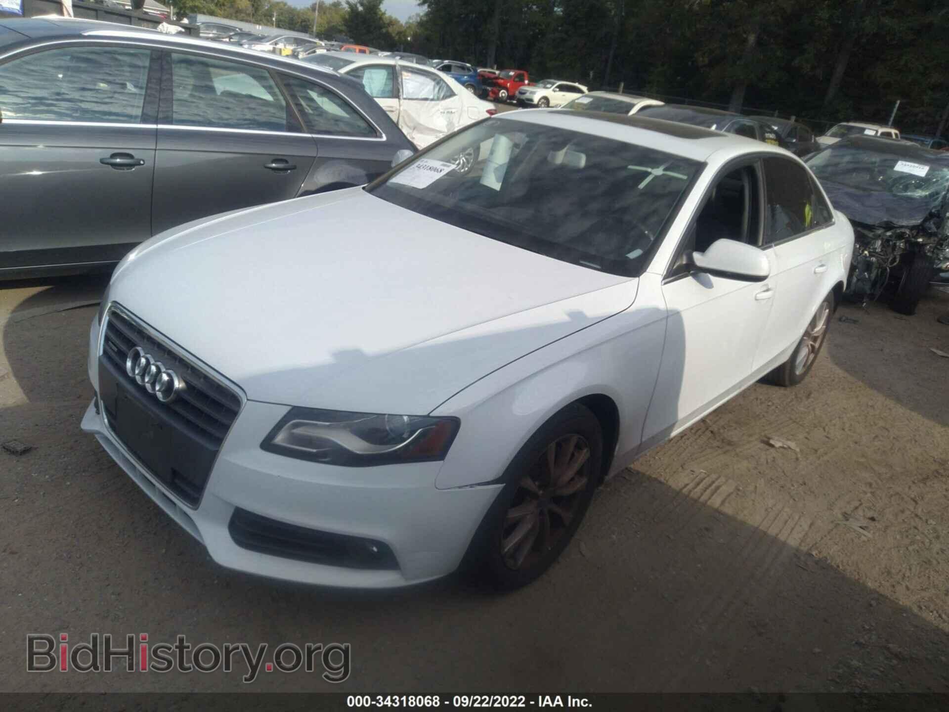 2012 AUDI A4 - VIN: WAUBFAFL3CA107215 - Фото 2