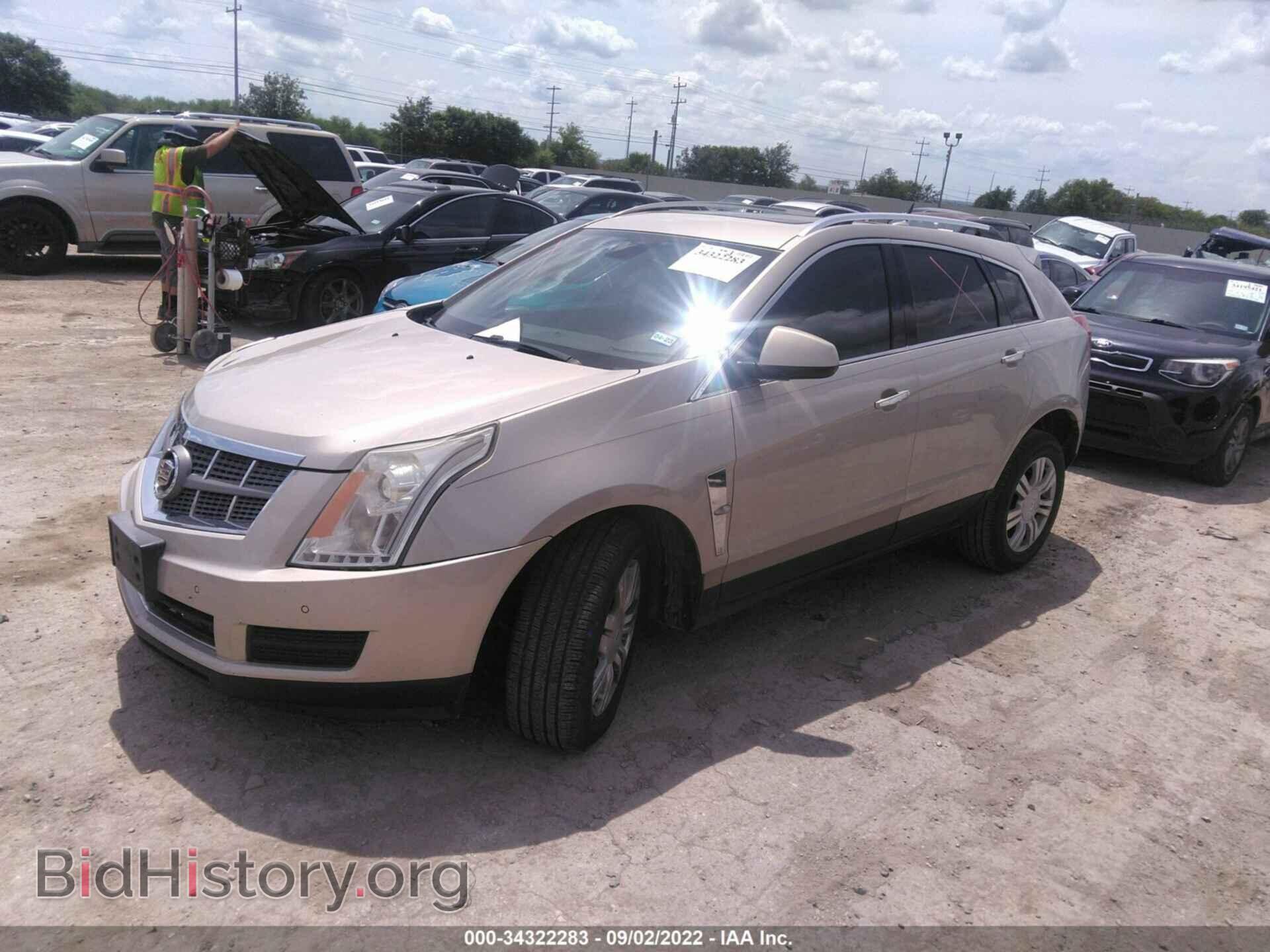 2010 CADILLAC SRX - VIN: 3GYFNAEY0AS577437 - Фото 2