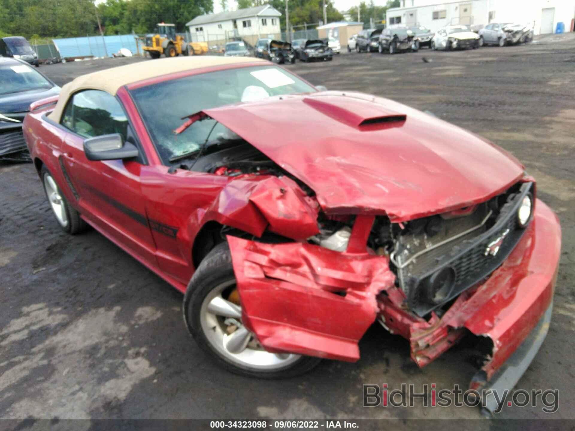 Photo 1ZVHT85H995140343 - FORD MUSTANG 2009
