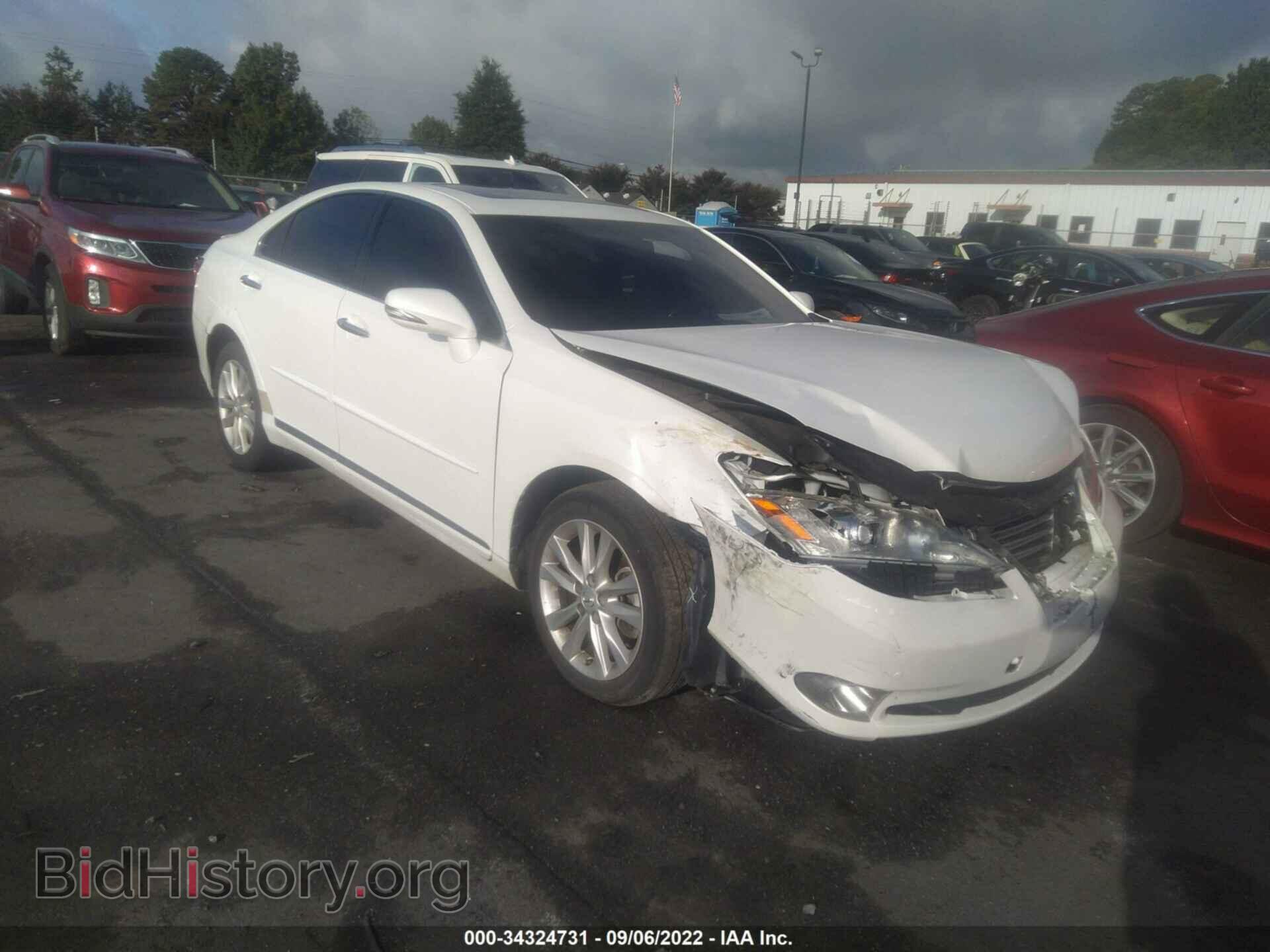 Фотография JTHBK1EG2C2504829 - LEXUS ES 350 2012