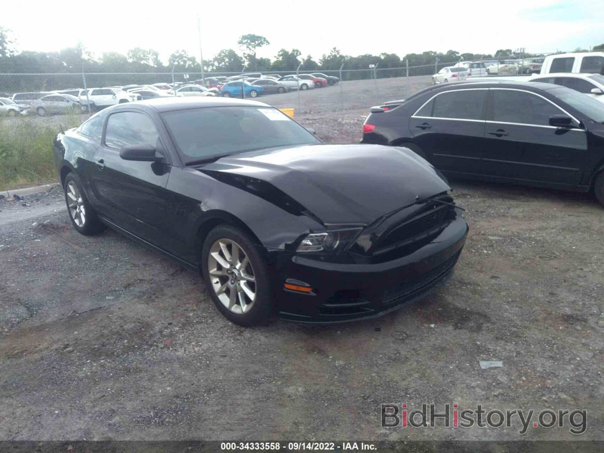 Photo 1ZVBP8AM9E5253619 - FORD MUSTANG 2014