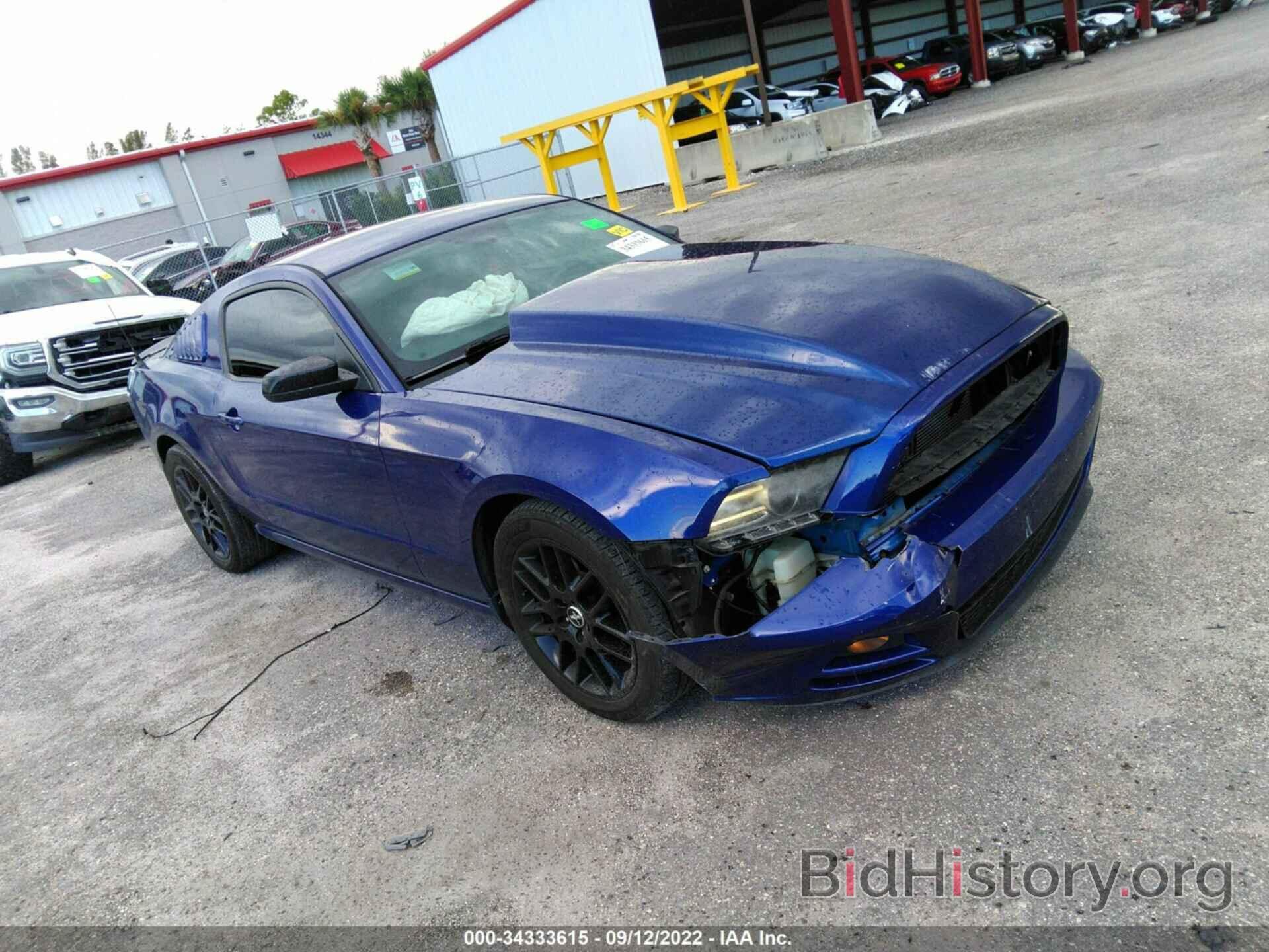 Photo 1ZVBP8AM9E5267813 - FORD MUSTANG 2014