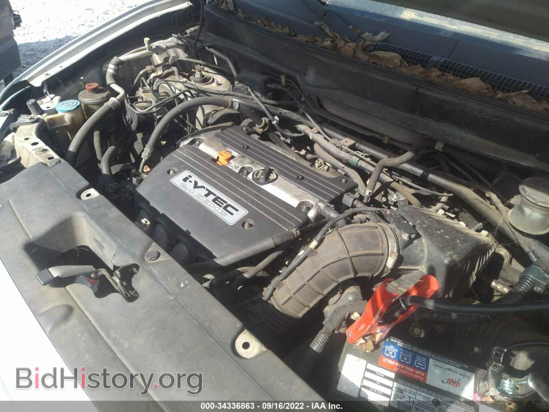 2007 HONDA ELEMENT - VIN: 5J6YH18957L005475 - Фото 10