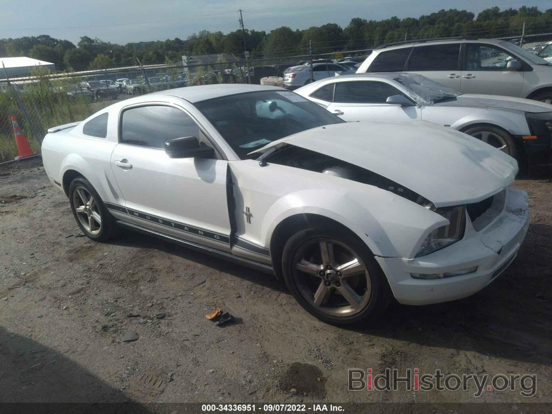 Photo 1ZVHT80N185172831 - FORD MUSTANG 2008