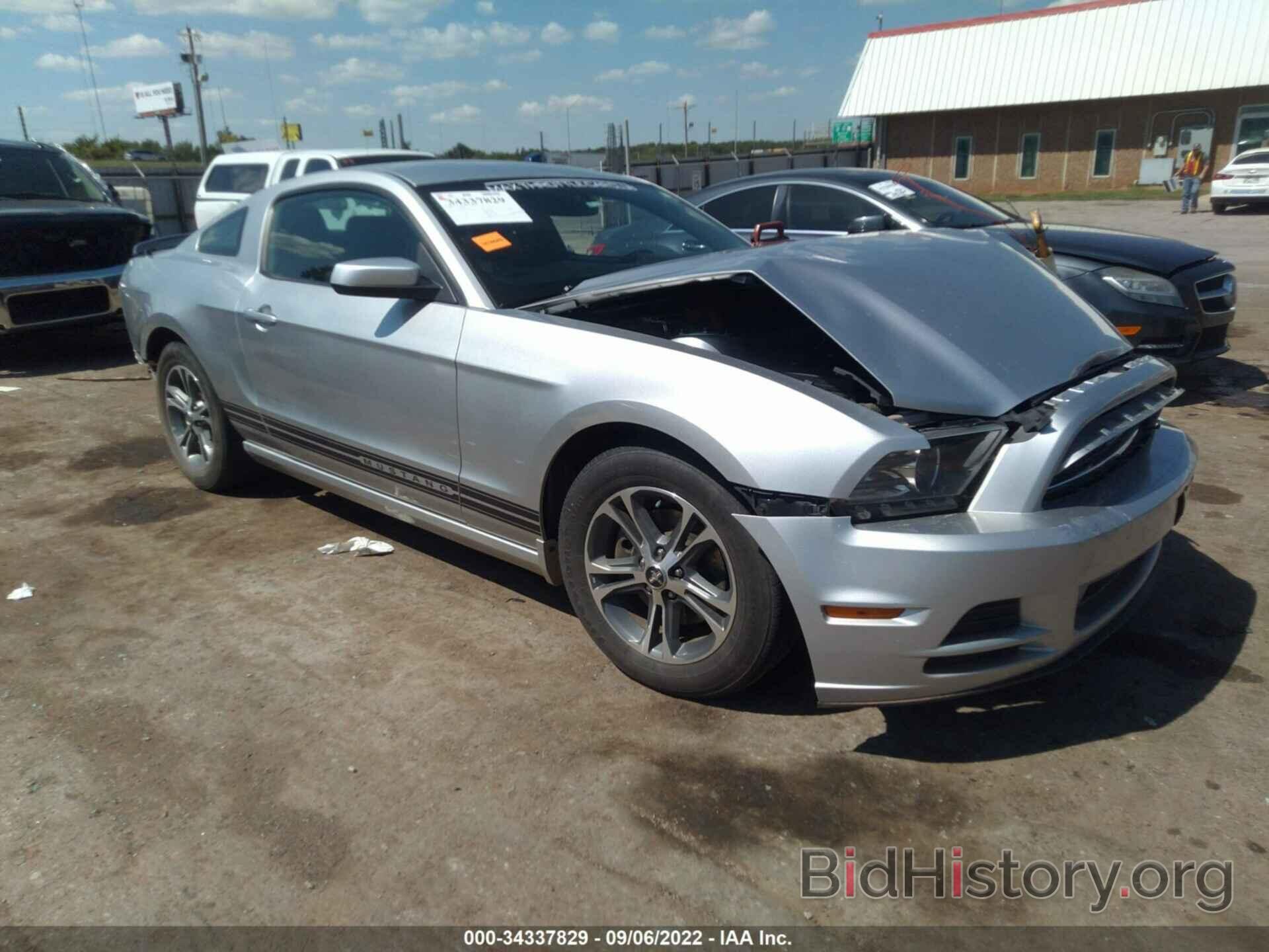 Photo 1ZVBP8AM1E5232487 - FORD MUSTANG 2014