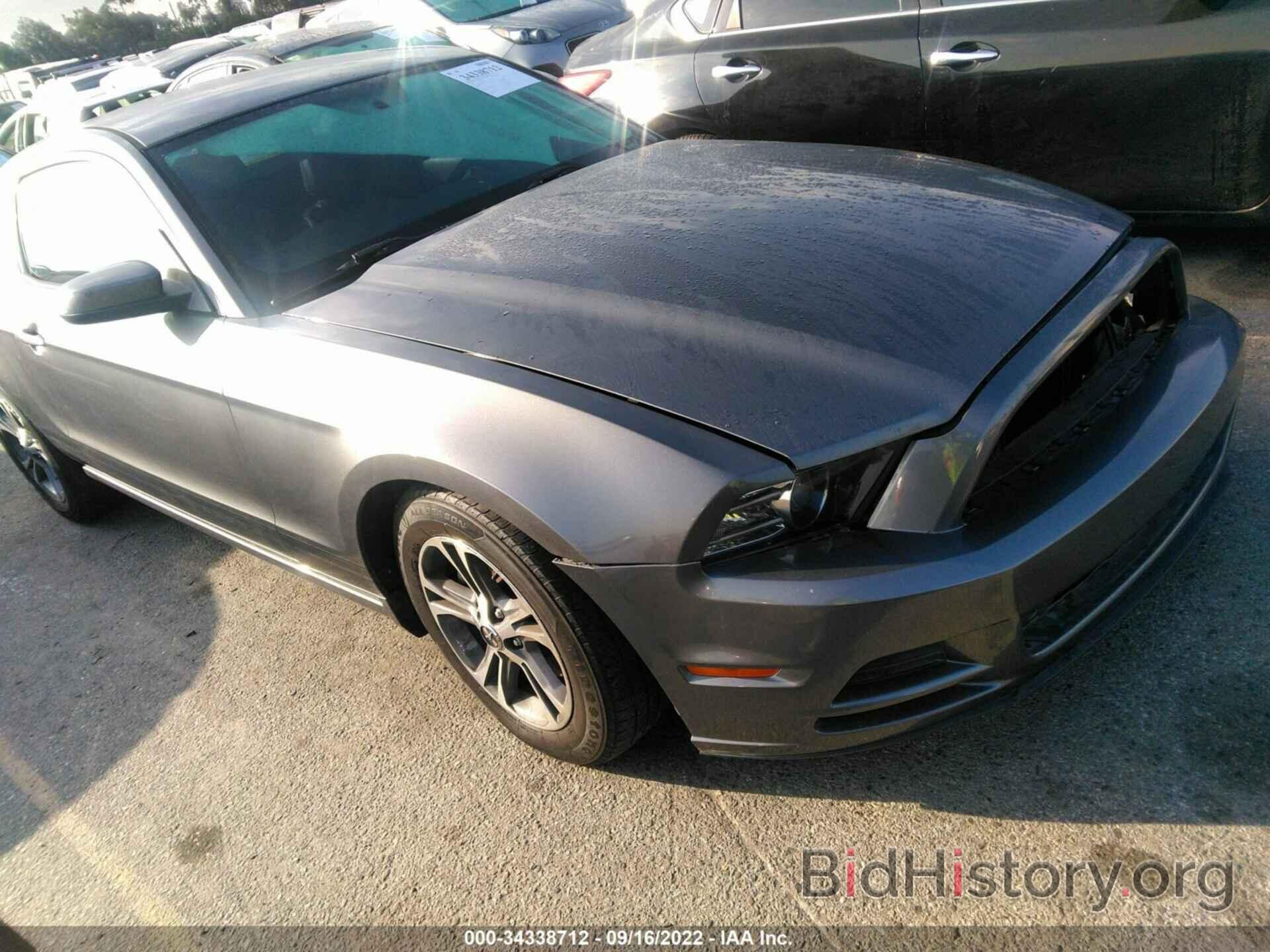Photo 1ZVBP8AM3E5284901 - FORD MUSTANG 2014
