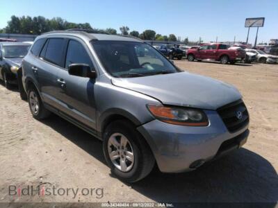 2009 Hyundai SANTA FE GLS, голубой — VIN 5NMSG13D29H250412, IAAI