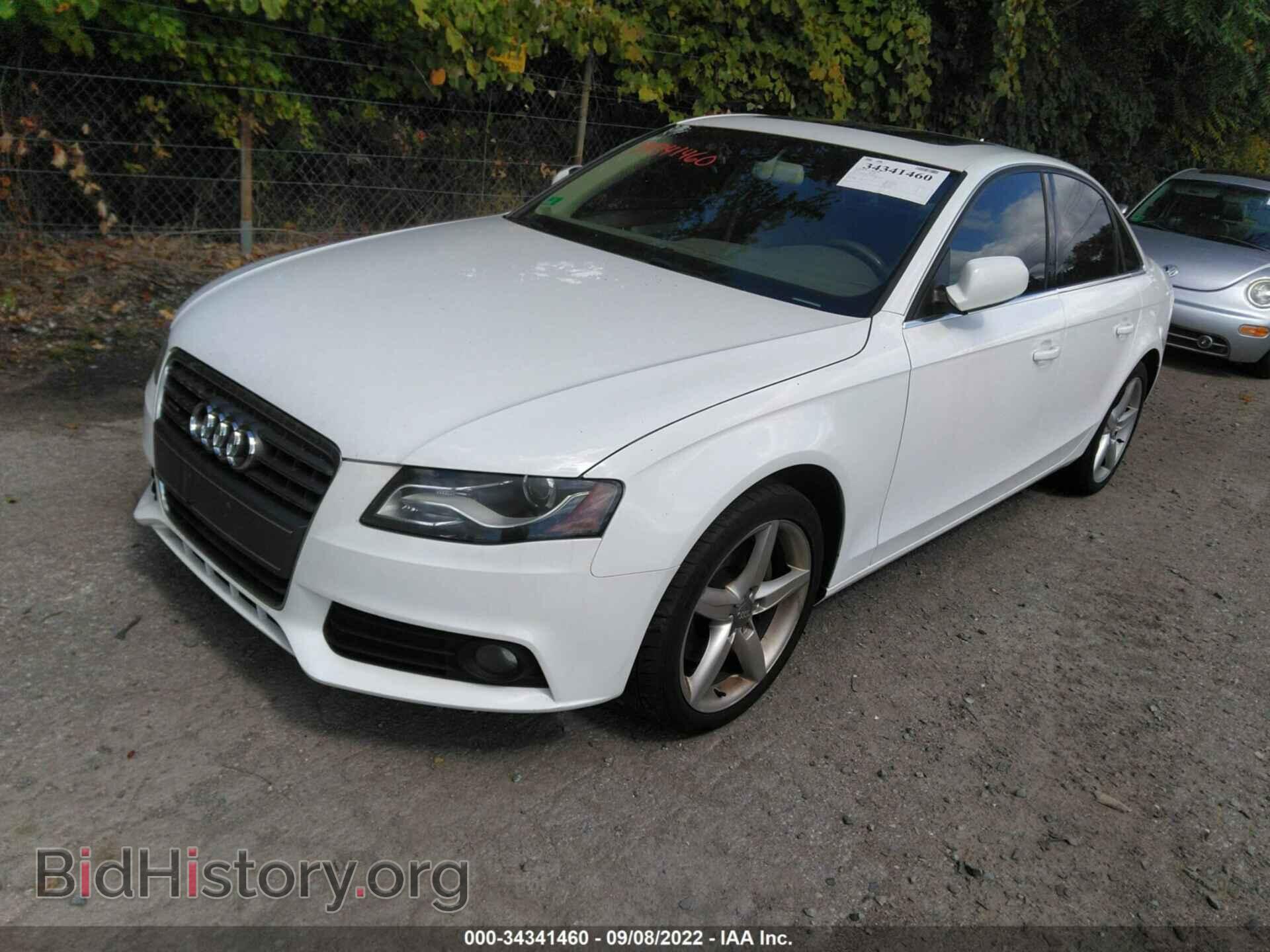2012 AUDI A4 - VIN: WAUBFAFL5CN000241 - Фото 2