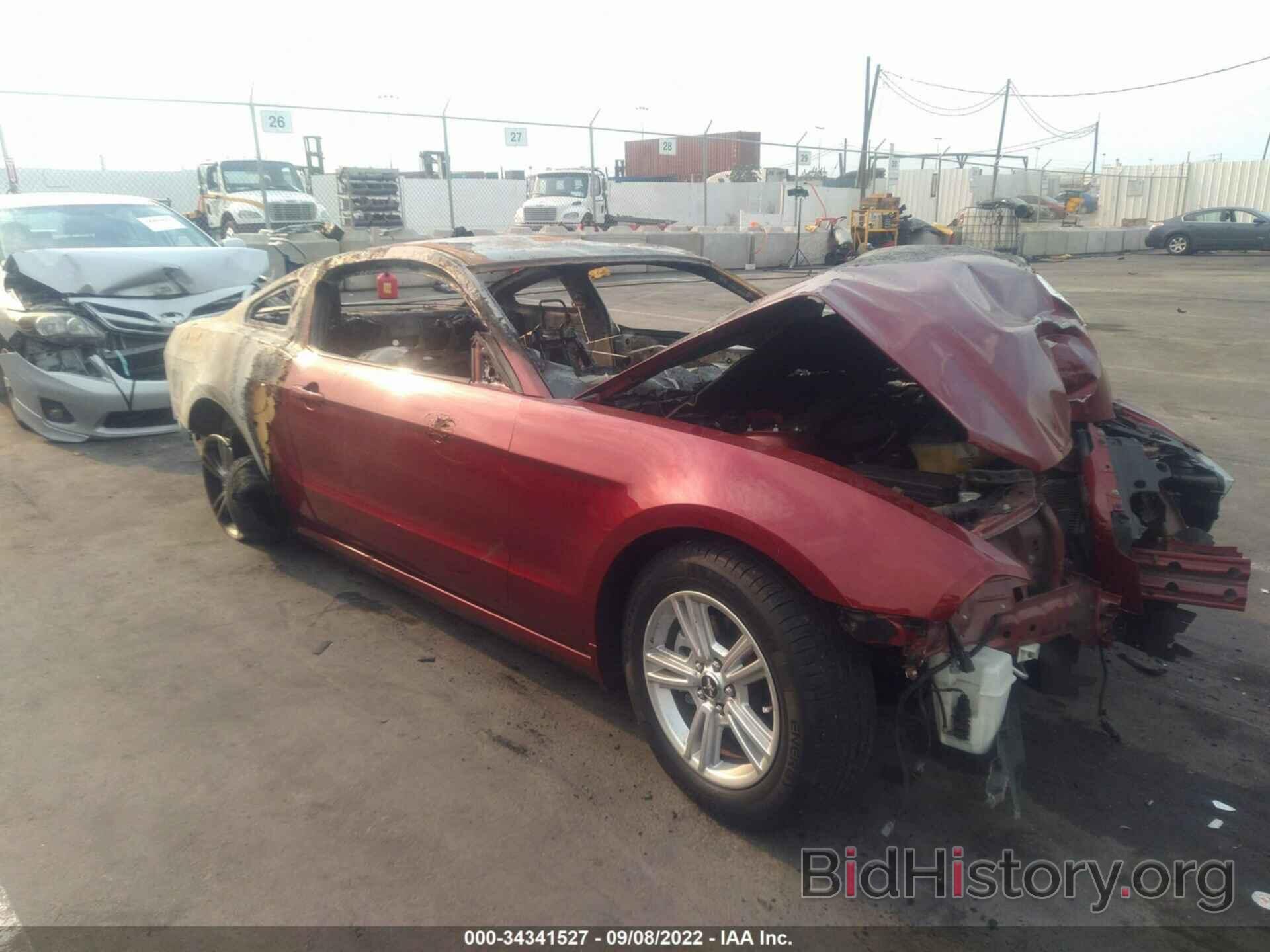 Photo 1ZVBP8AM6E5304266 - FORD MUSTANG 2014