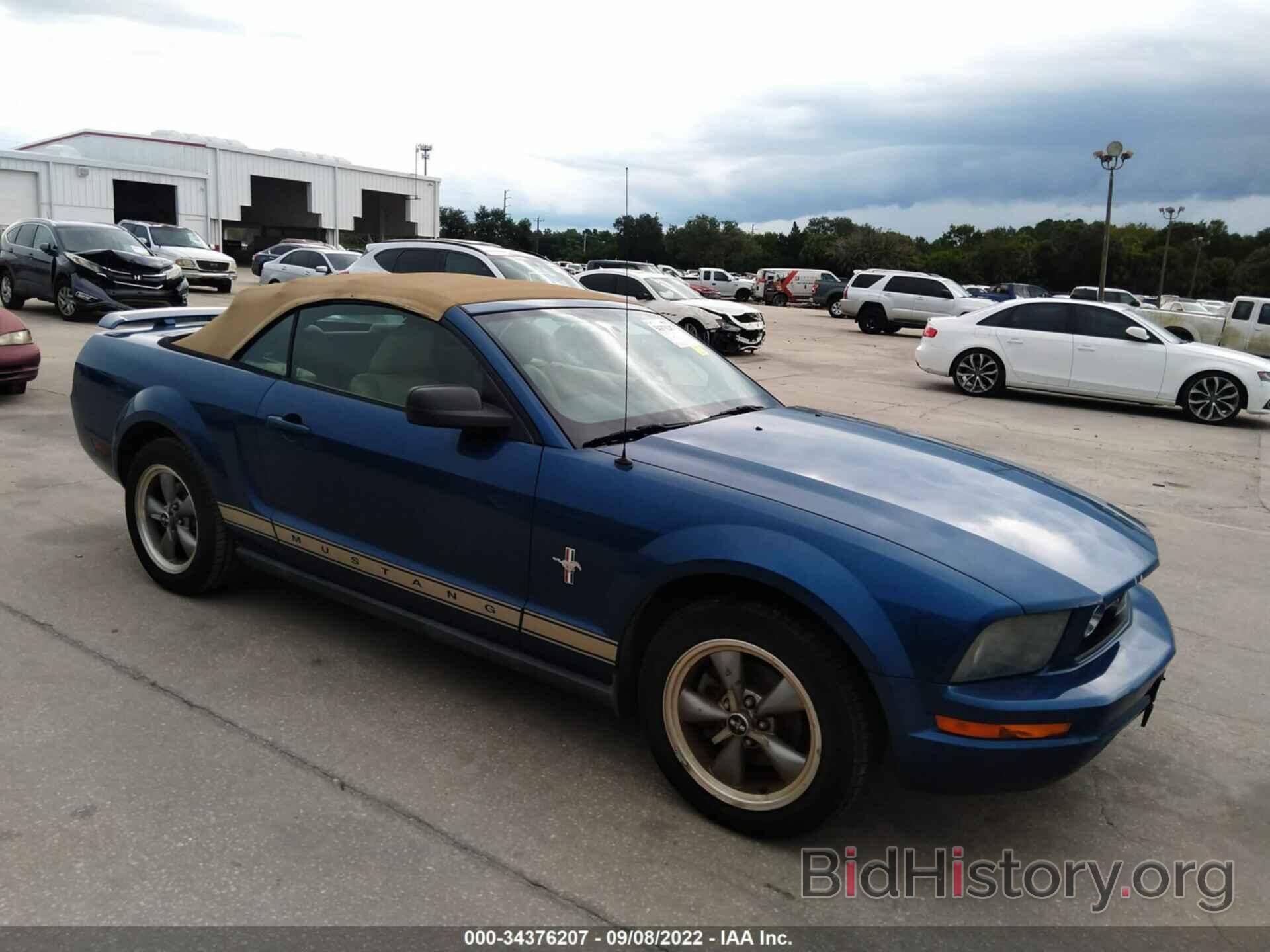 Photo 1ZVFT84N565223519 - FORD MUSTANG 2006