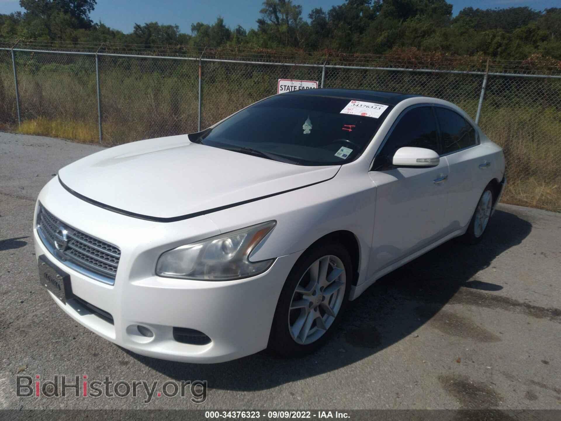 2011 NISSAN MAXIMA - VIN: 1N4AA5AP7BC837703 - Фото 2