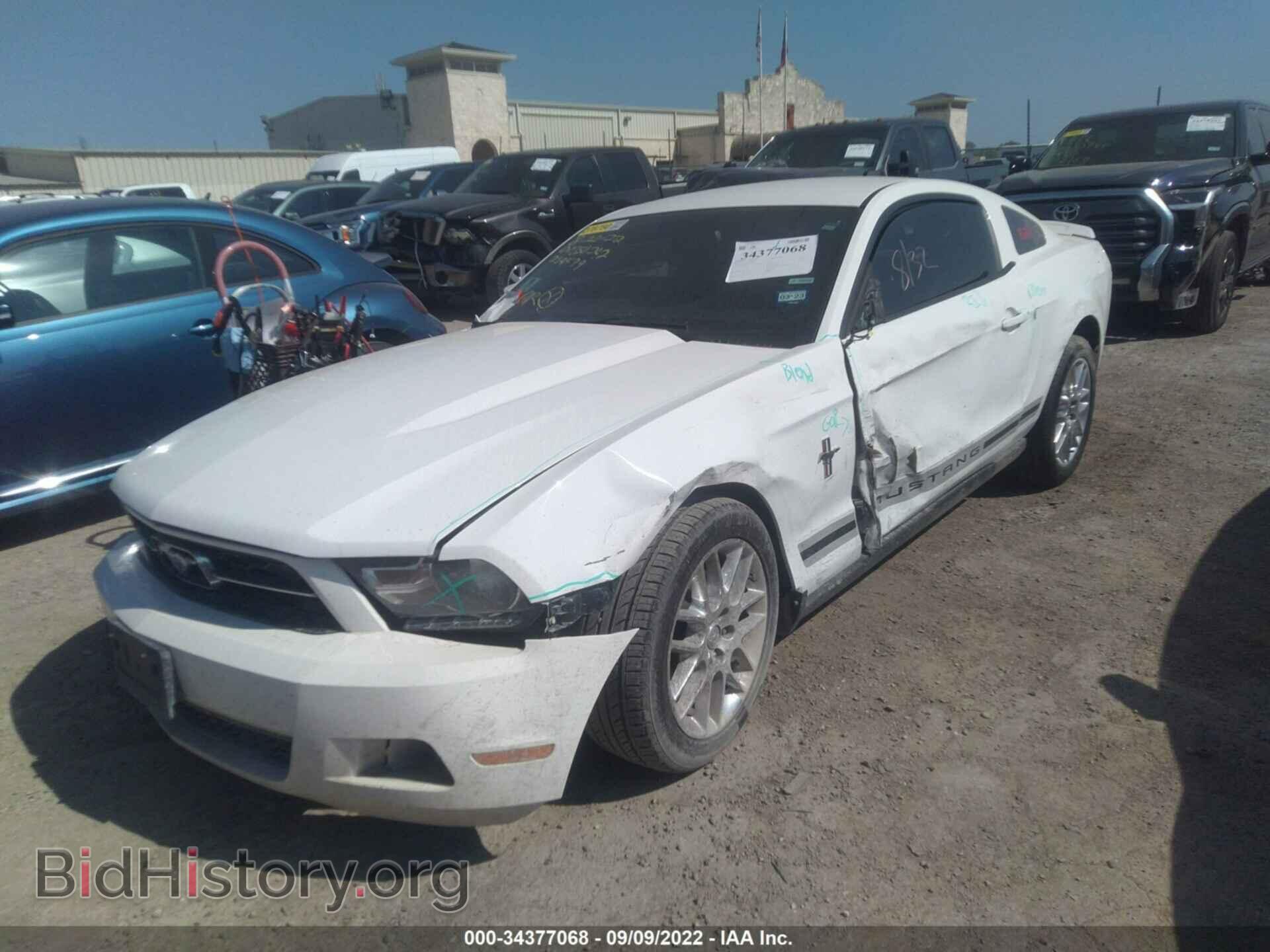 2012 FORD MUSTANG - VIN: 1ZVBP8AM4C5234599 - Фото 6