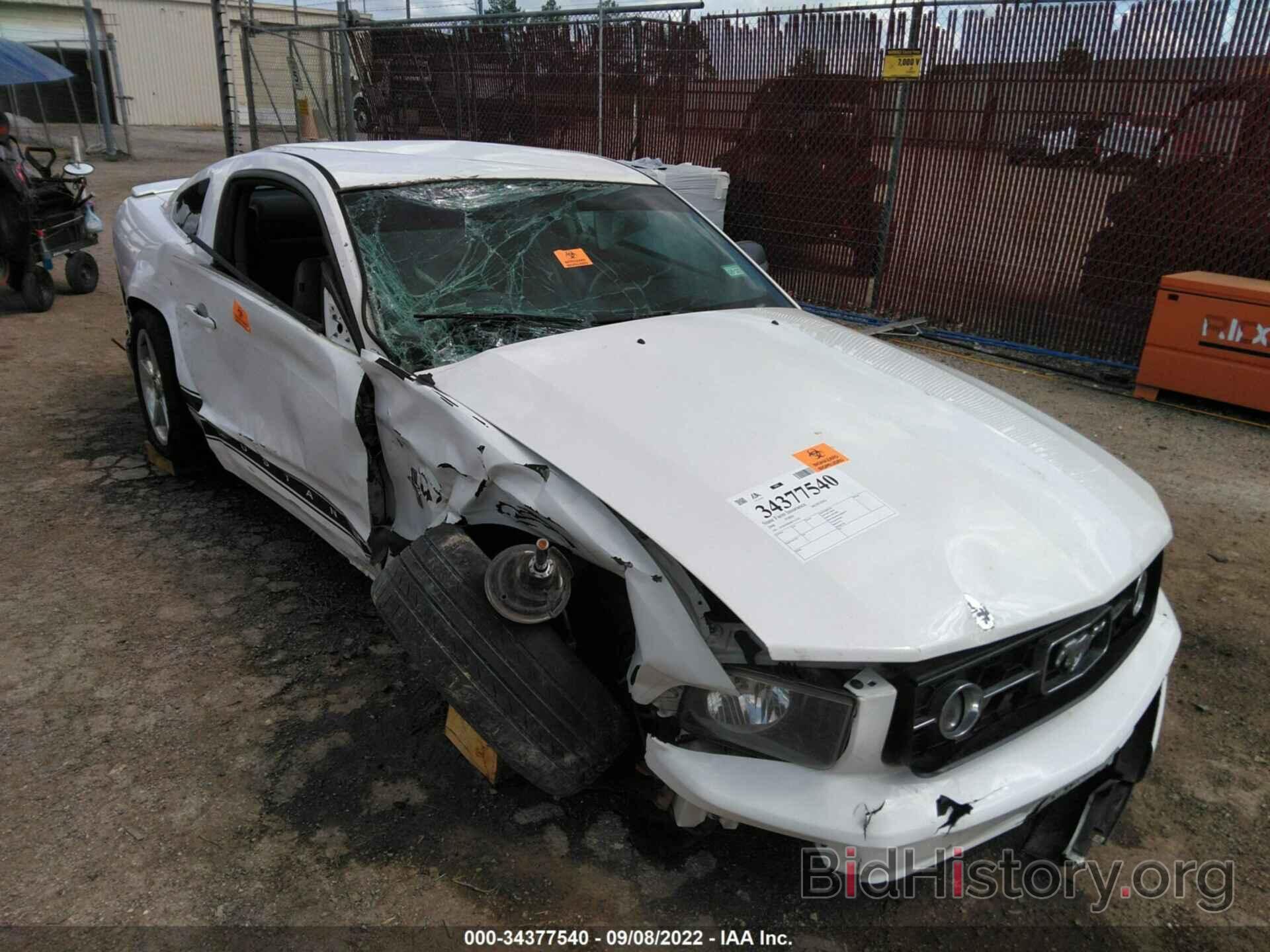 Photo 1ZVHT80N485122294 - FORD MUSTANG 2008