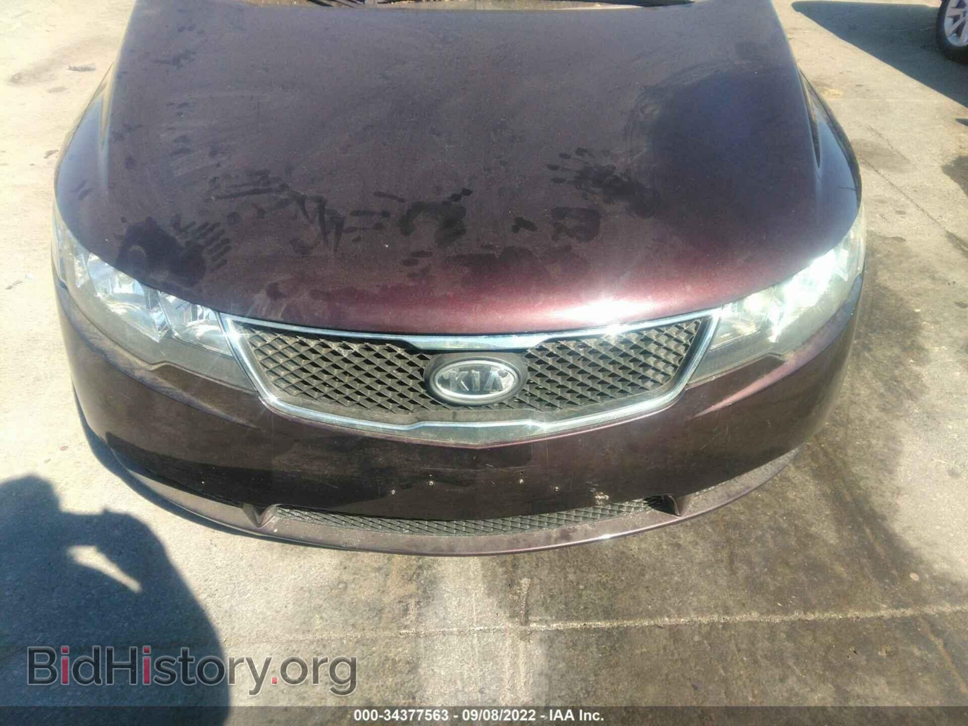 2010 KIA FORTE - VIN: KNAFU4A26A5141906 - Фото 6