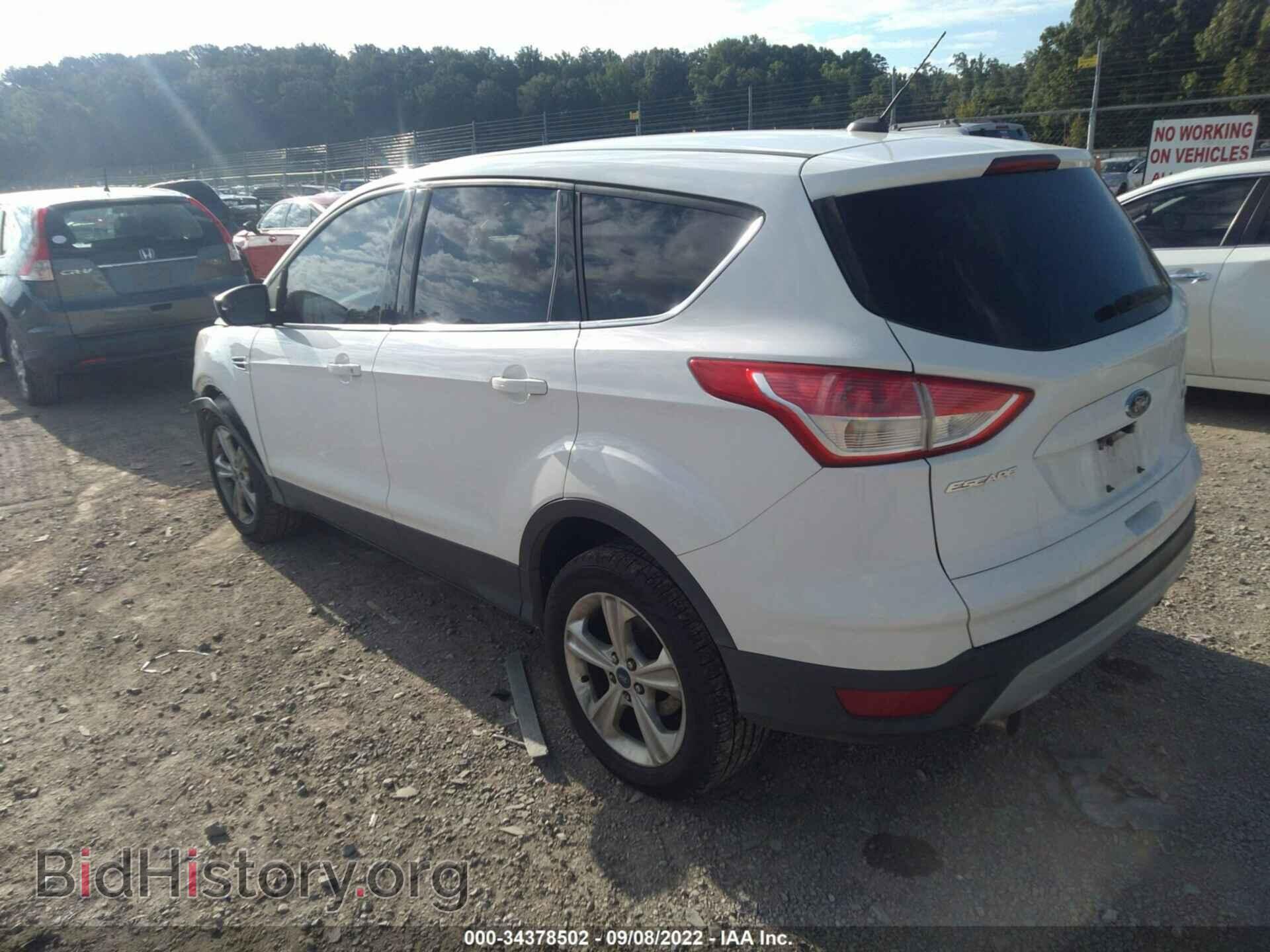 2013 FORD ESCAPE - VIN: 1FMCU0GX9DUC48441 - Photo 3