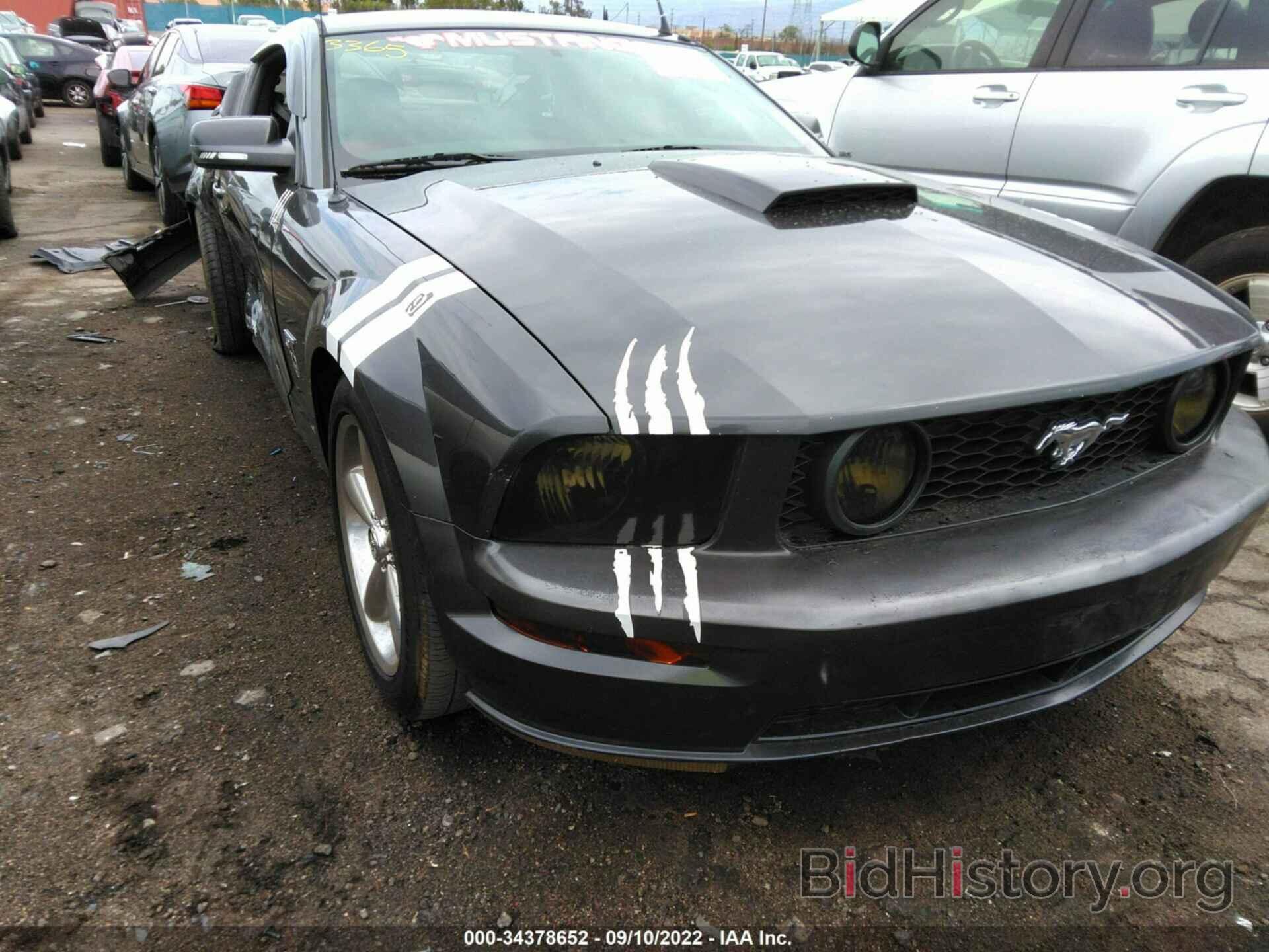 Photo 1ZVHT82H785187762 - FORD MUSTANG 2008