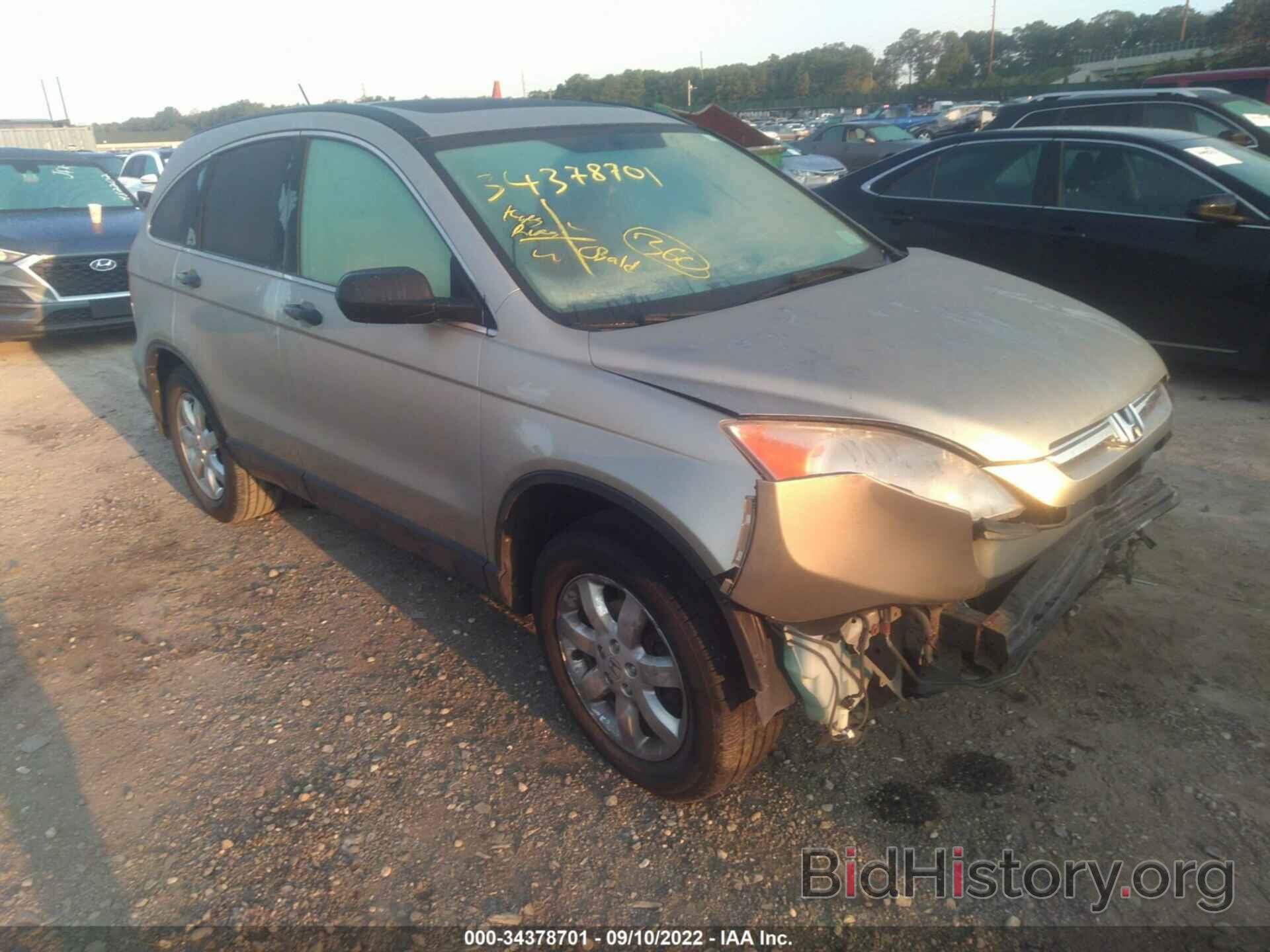 Photo JHLRE48518C025552 - HONDA CR-V 2008