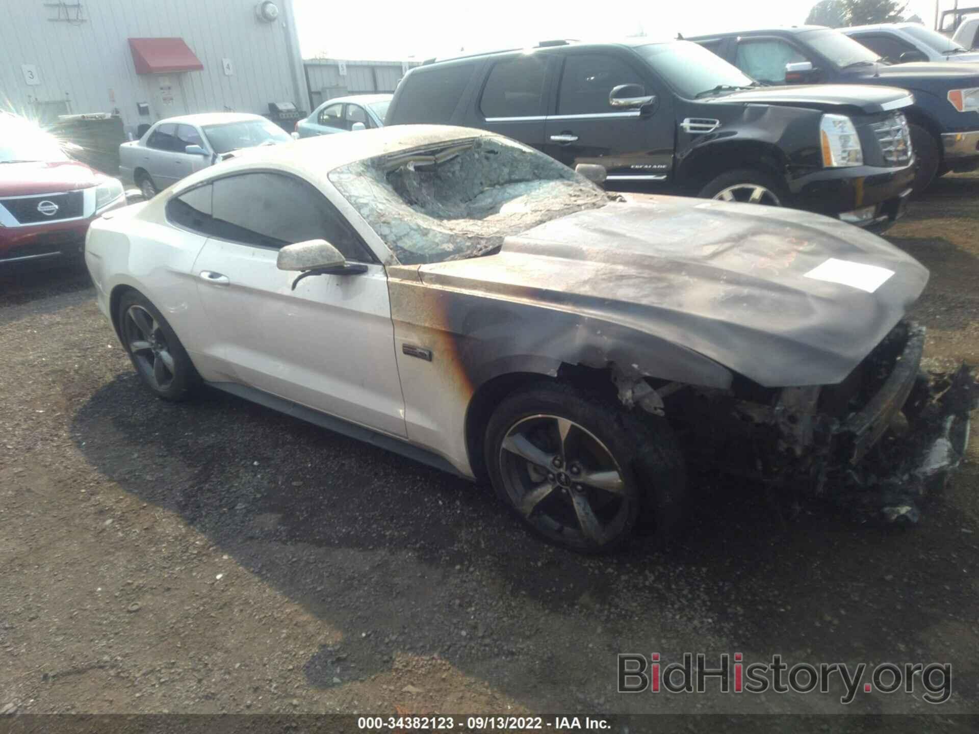 Photo 1FA6P8AM4H5321517 - FORD MUSTANG 2017