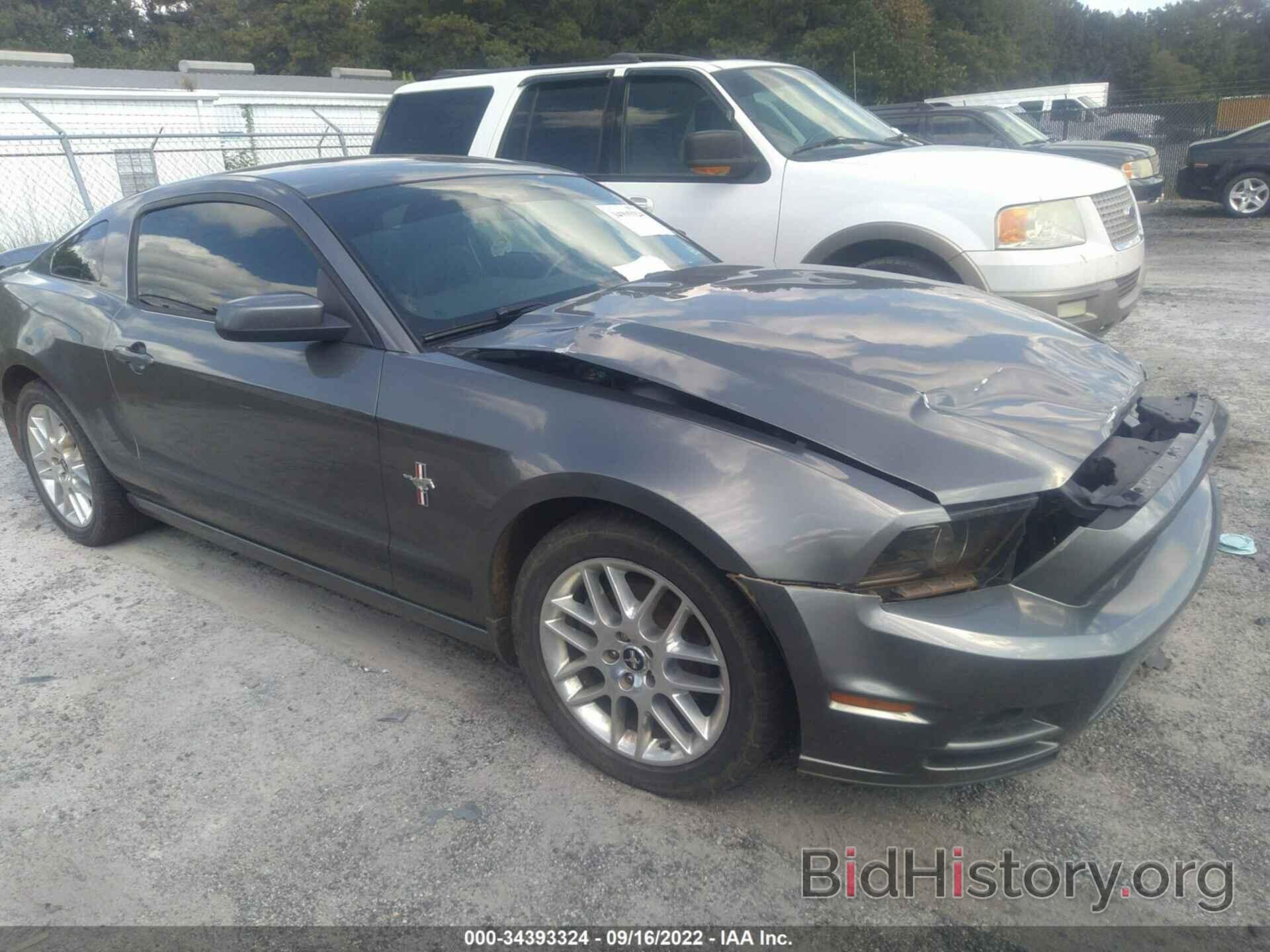Photo 1ZVBP8AM9E5251594 - FORD MUSTANG 2014