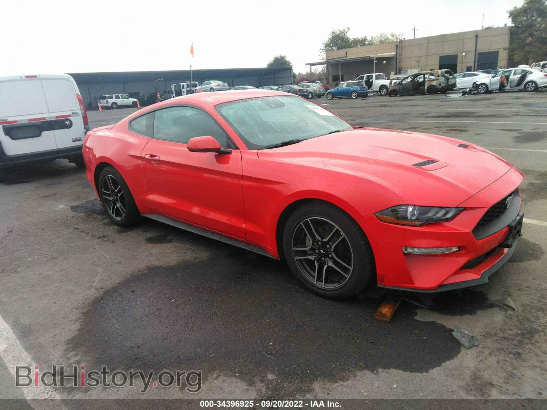 Photo 1FA6P8TH8M5100772 - FORD MUSTANG 2021