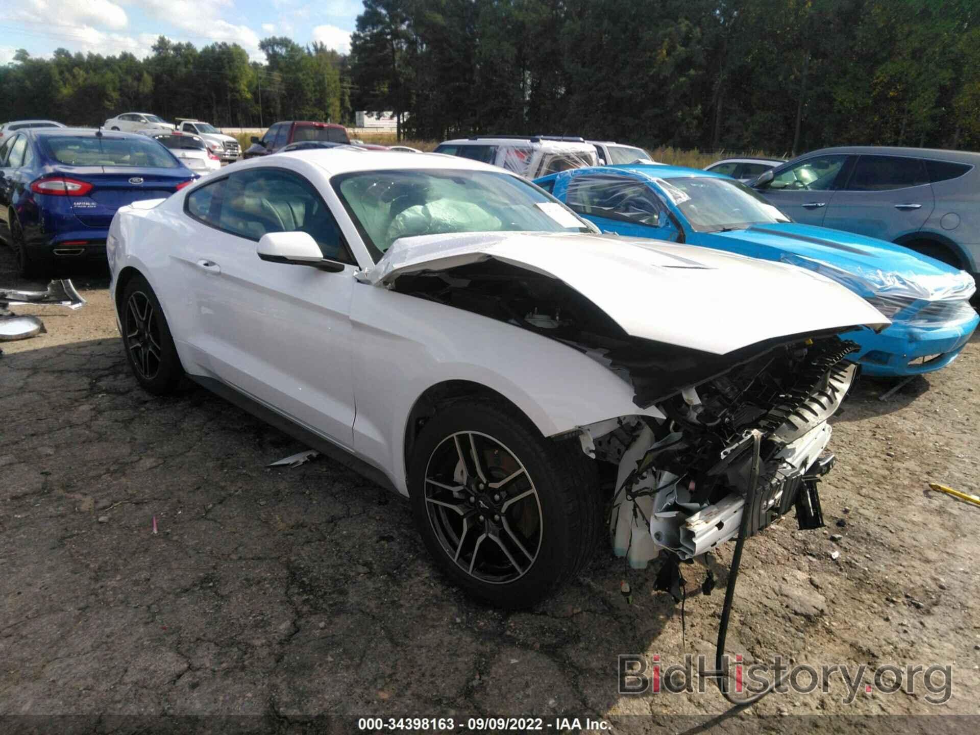Photo 1FA6P8TH3K5162044 - FORD MUSTANG 2019