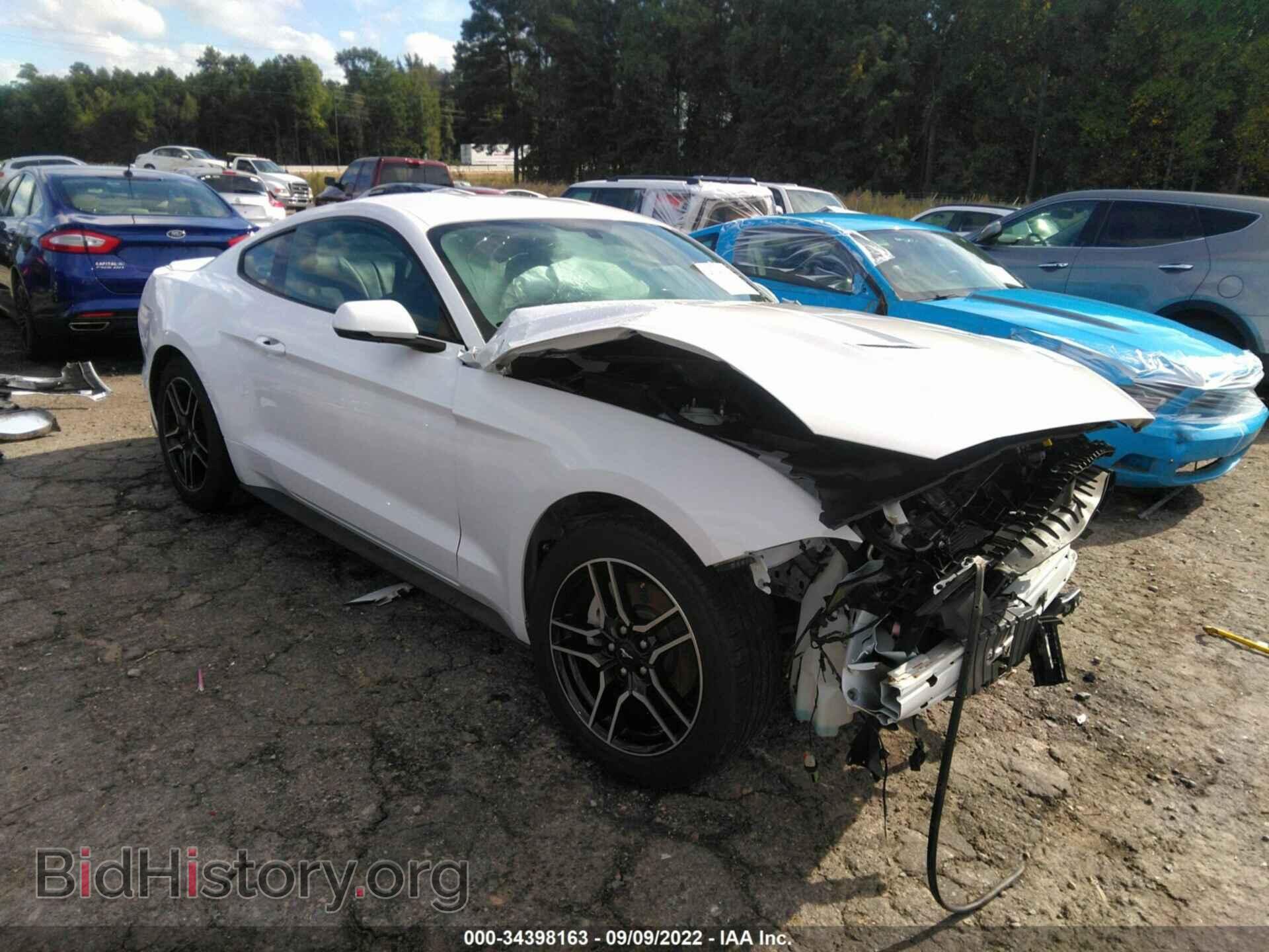 Photo 1FA6P8TH3K5162044 - FORD MUSTANG 2019