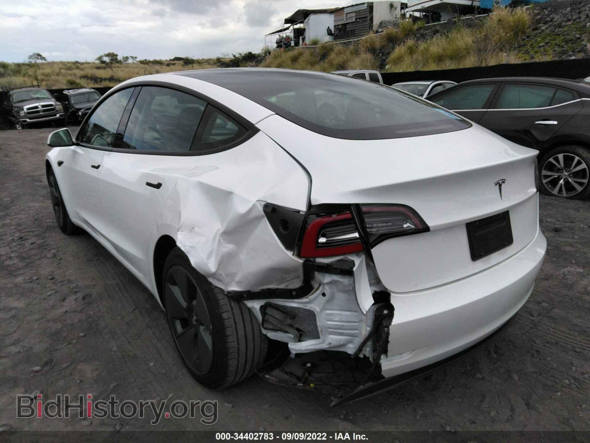 2021 TESLA MODEL 3 - VIN: 5YJ3E1EA1MF982196 - Photo 10