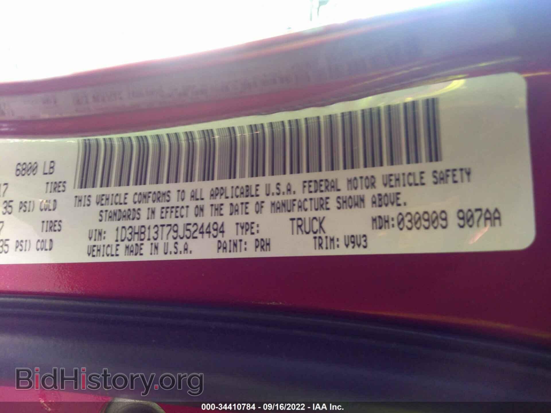 2009 DODGE RAM 1500 - VIN: 1D3HB13T79J524494 - Фото 9