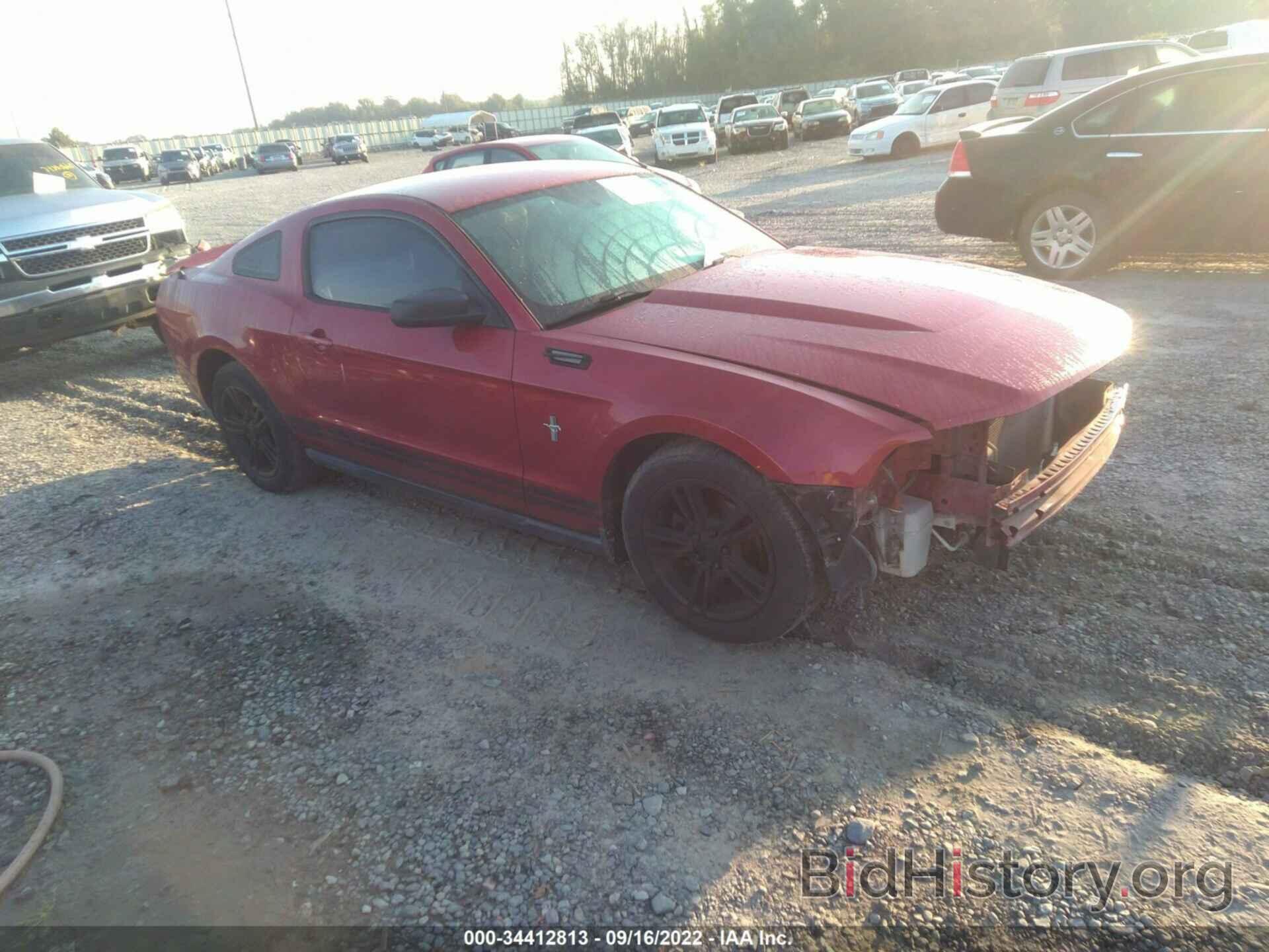 Photo 1ZVBP8AN0A5147918 - FORD MUSTANG 2010