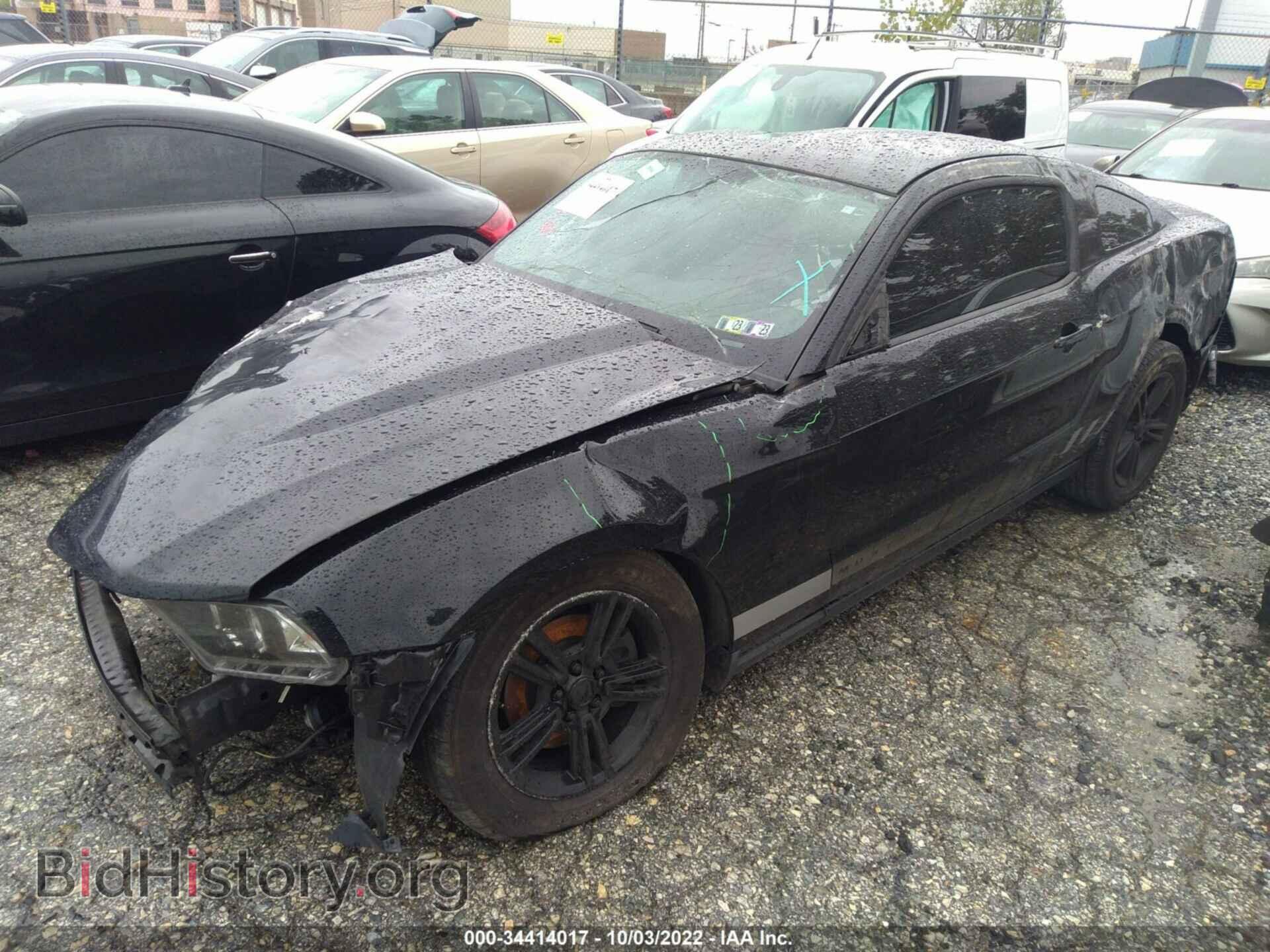 2012 FORD MUSTANG - VIN: 1ZVBP8AM4C5258529 - Фото 2