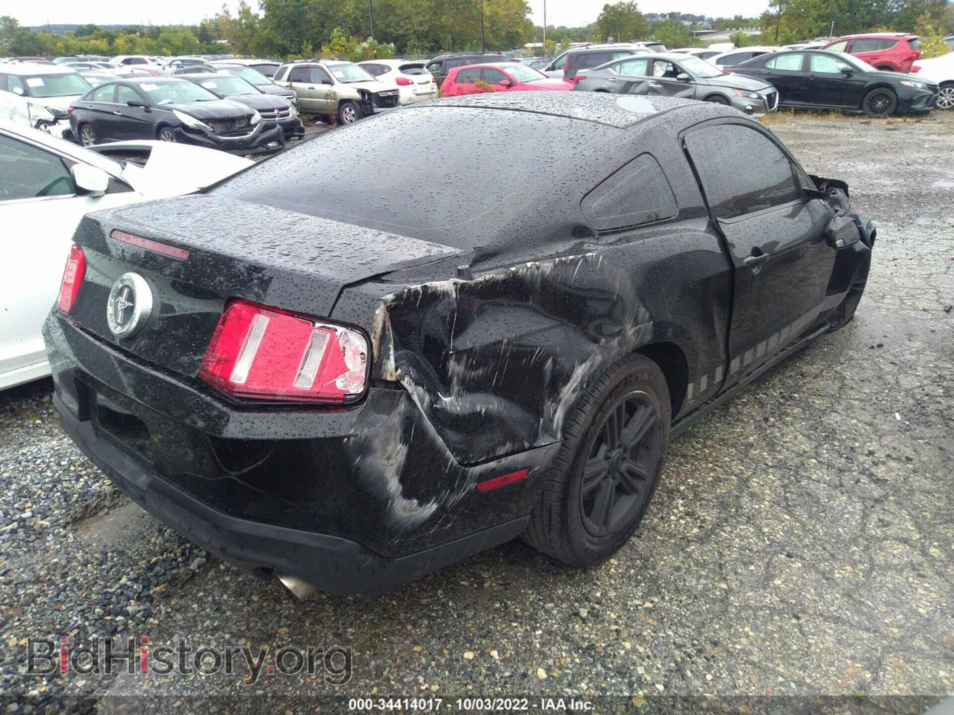 2012 FORD MUSTANG - VIN: 1ZVBP8AM4C5258529 - Фото 4