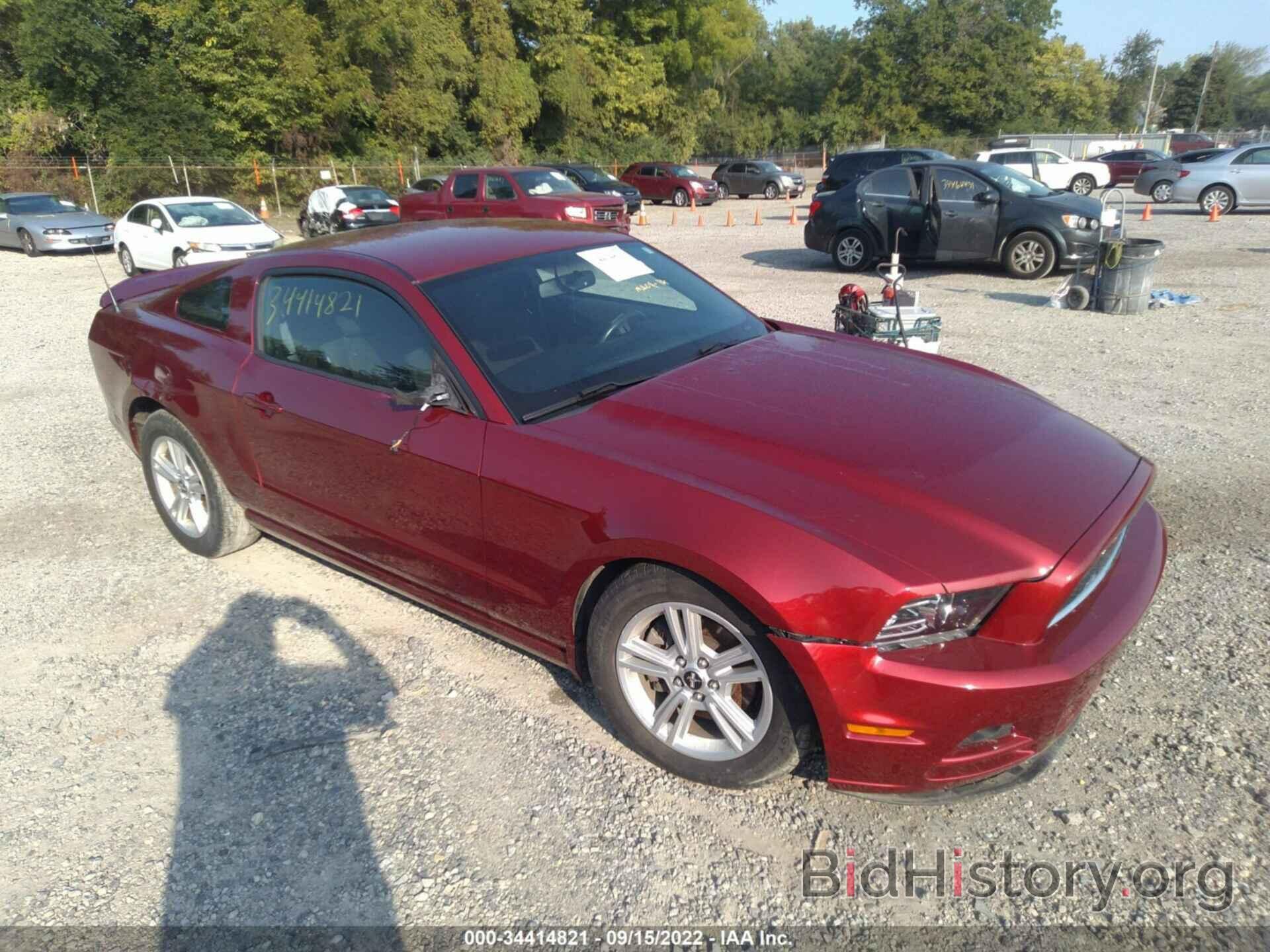 Photo 1ZVBP8AM3E5331585 - FORD MUSTANG 2014