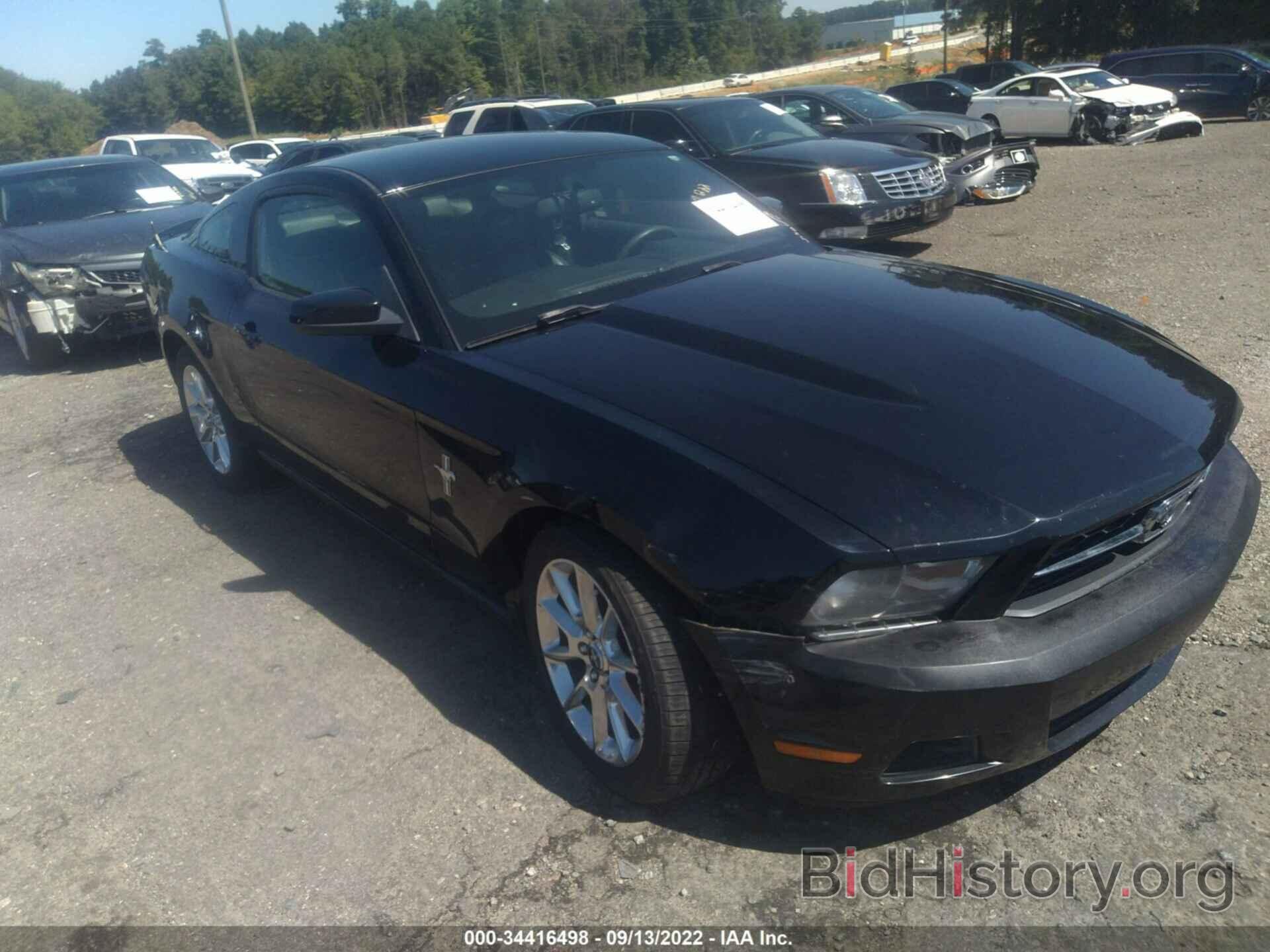 Photo 1ZVBP8AN0A5176710 - FORD MUSTANG 2010