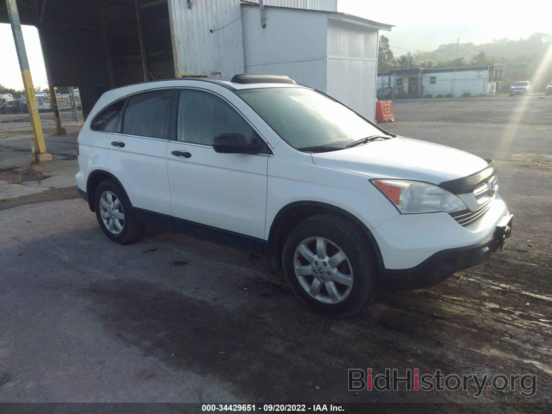 Photo 5J6RE48598L003354 - HONDA CR-V 2008