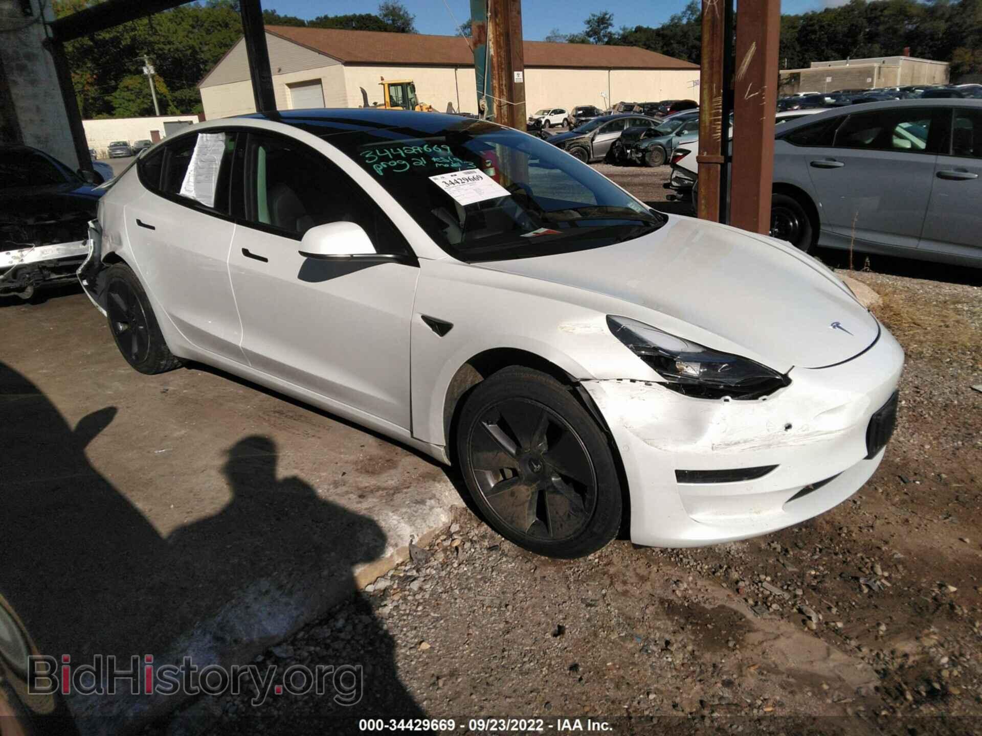 Photo 5YJ3E1EA9MF021278 - TESLA MODEL 3 2021
