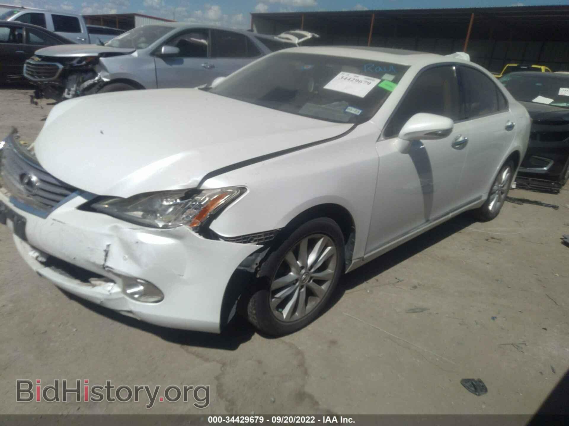 2010 LEXUS ES 350 - VIN: JTHBK1EG0A2354331 - Фото 2
