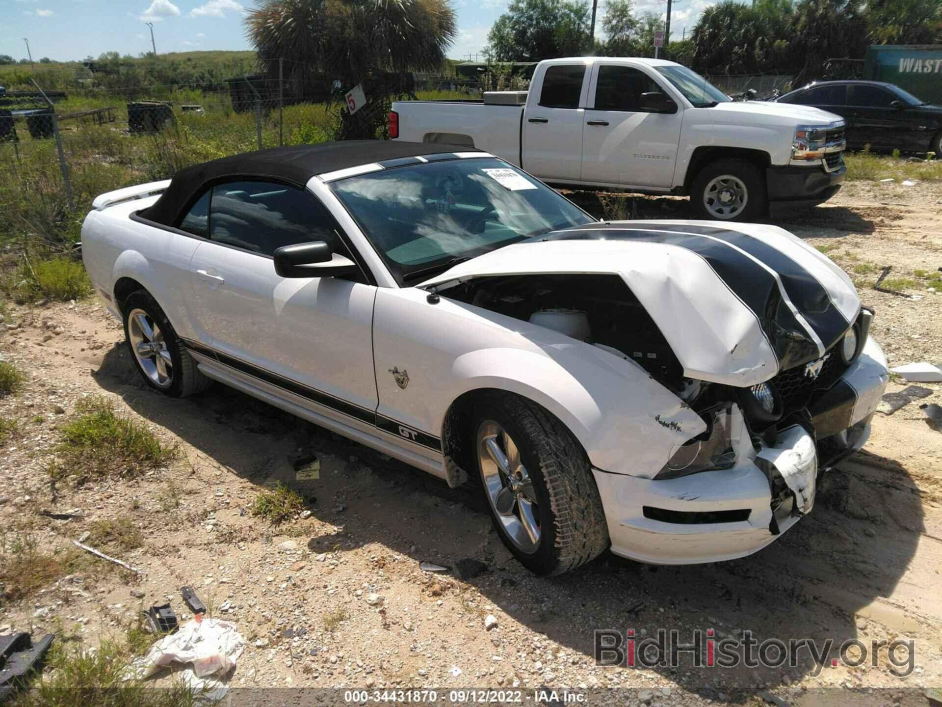 Photo 1ZVHT85H195133340 - FORD MUSTANG 2009